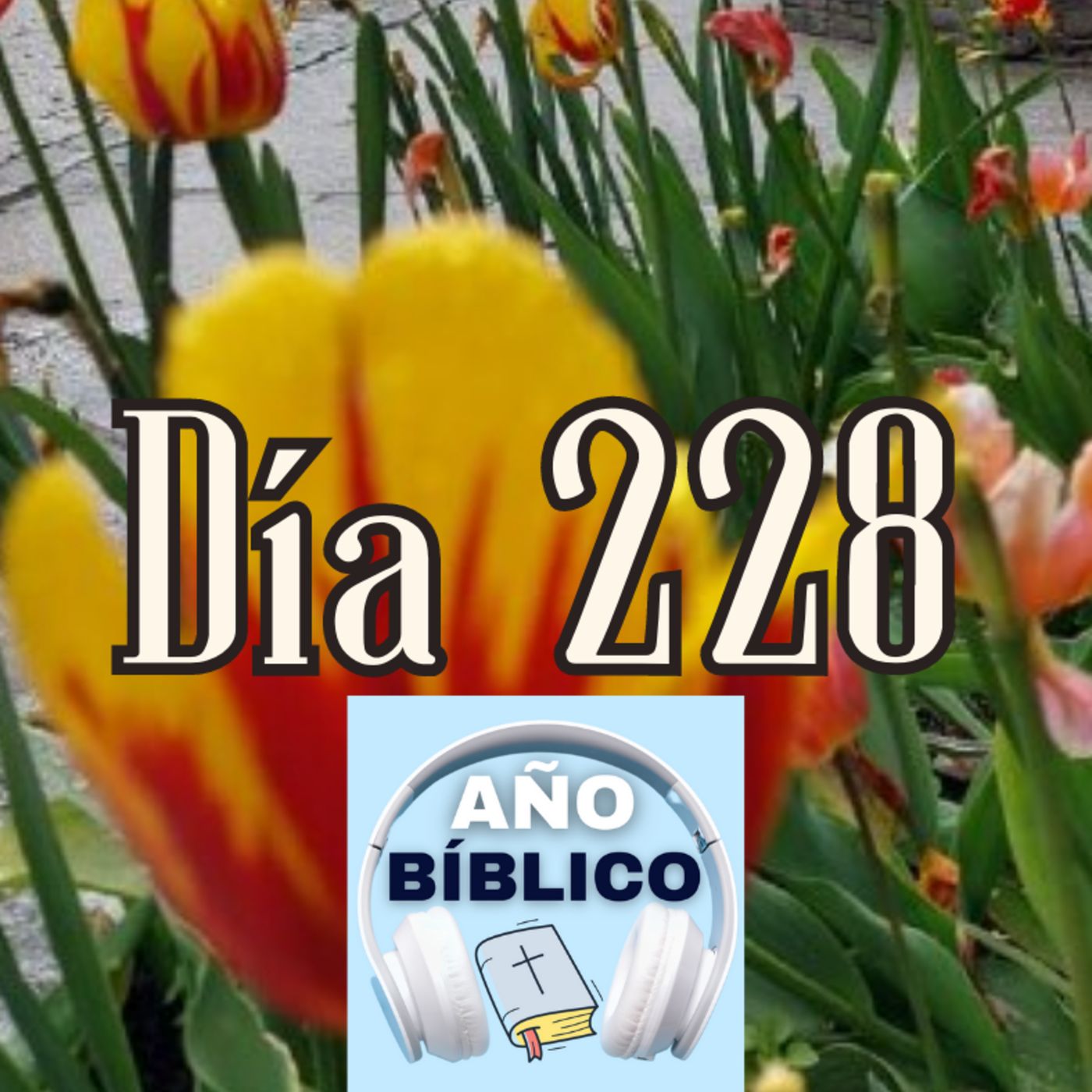 Día 228 - Salmo 94:1-7, Job 34-36 y 1 Corintios 11:17-34 episode artwork