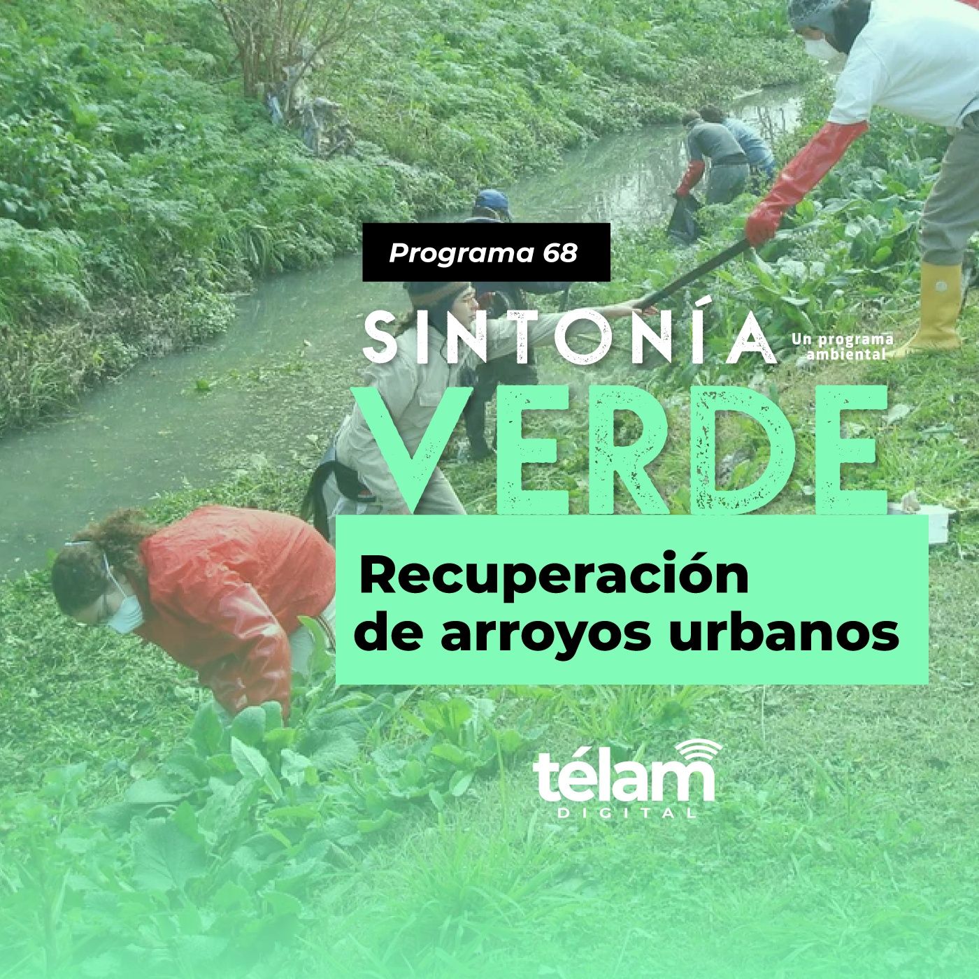 cover of episode Recuperación de arroyos urbanos