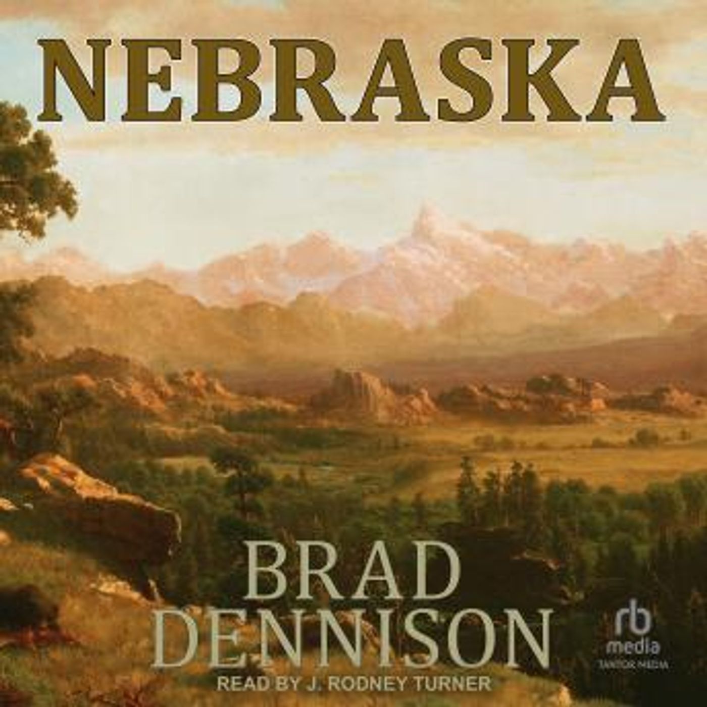 Stream Popular Full Audiobooks in Fiction, Westerns & War