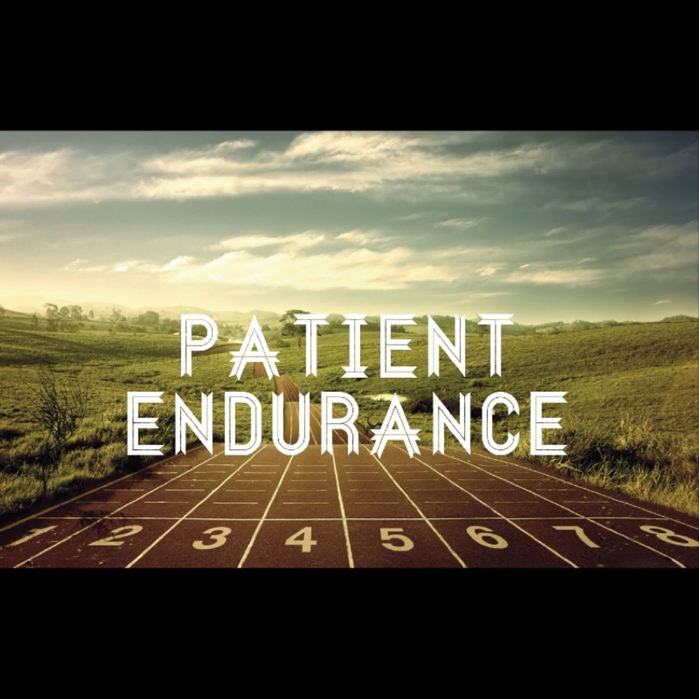 Endurance episode artwork