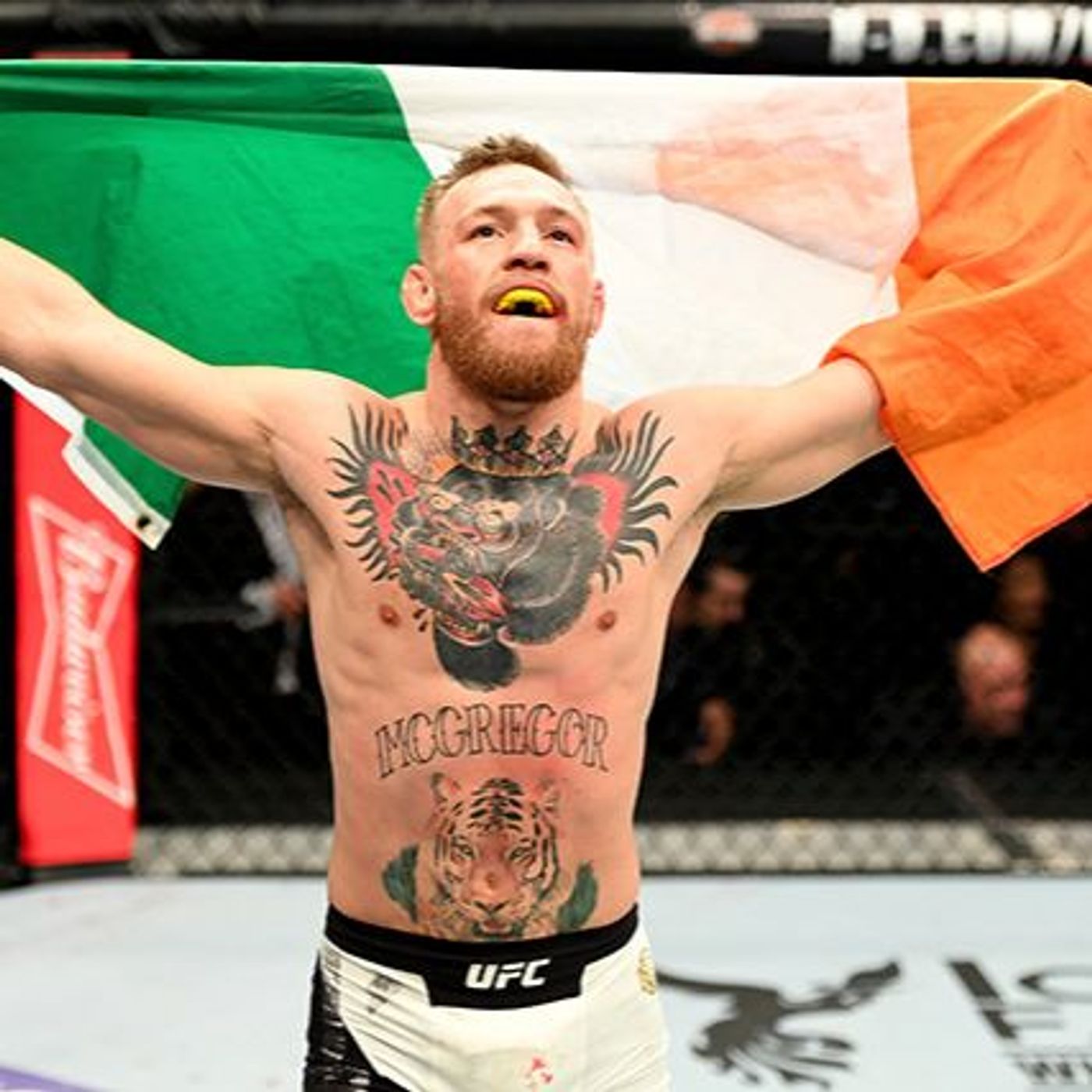 MMA Evolution: Mayweather-McGregor Discussion, UFC Fight Night Review episode artwork