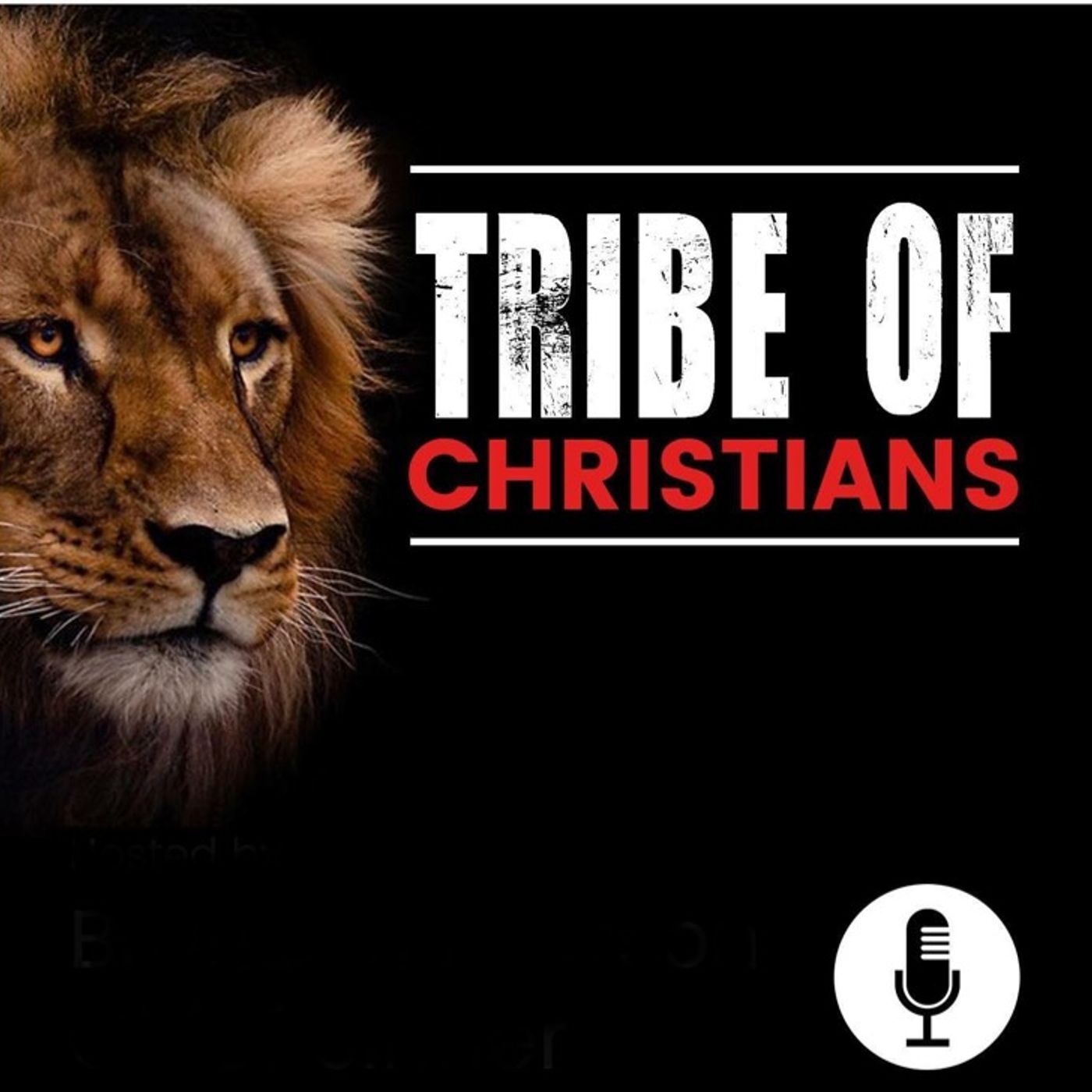 Tribe Of Christians