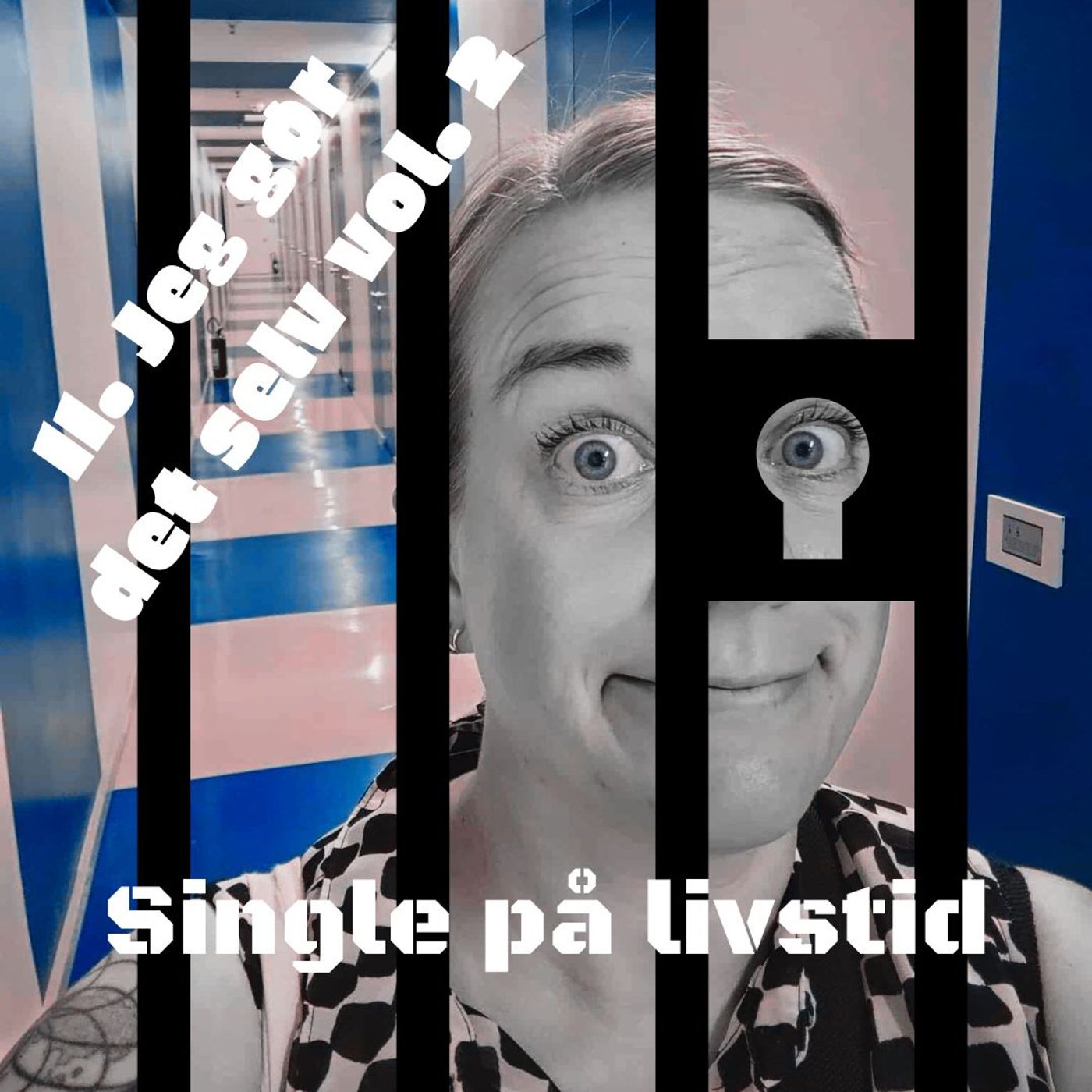 Jeg gør det selv vol. 2