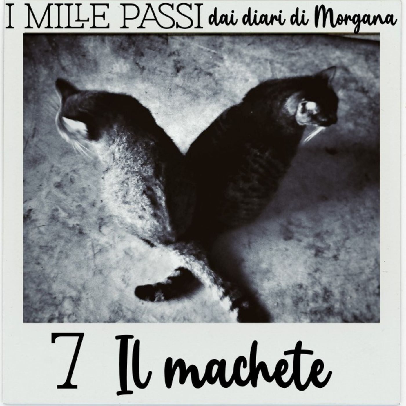 I mille passi (dai diari di Morgana )