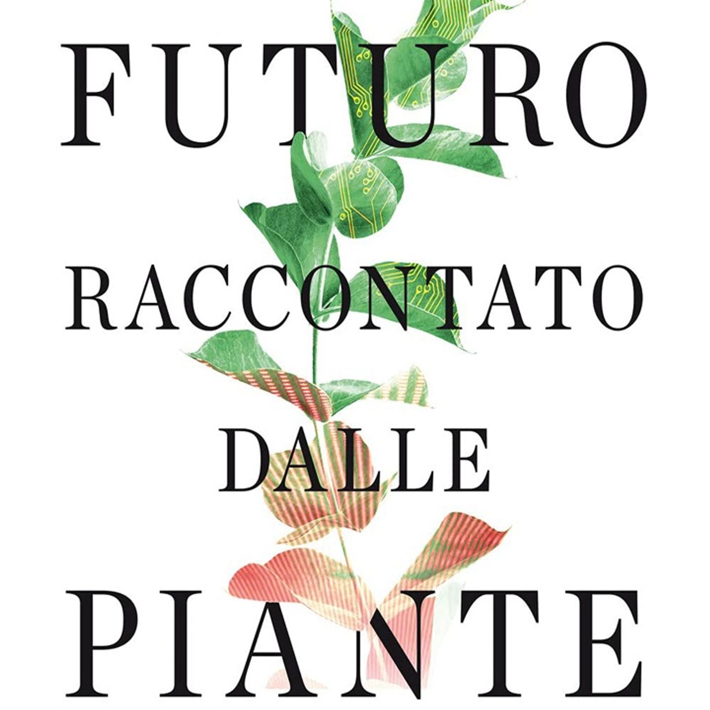 Barbara Mazzolai: senza piante il nostro pianeta azzurro sarebbe un sasso inospitale