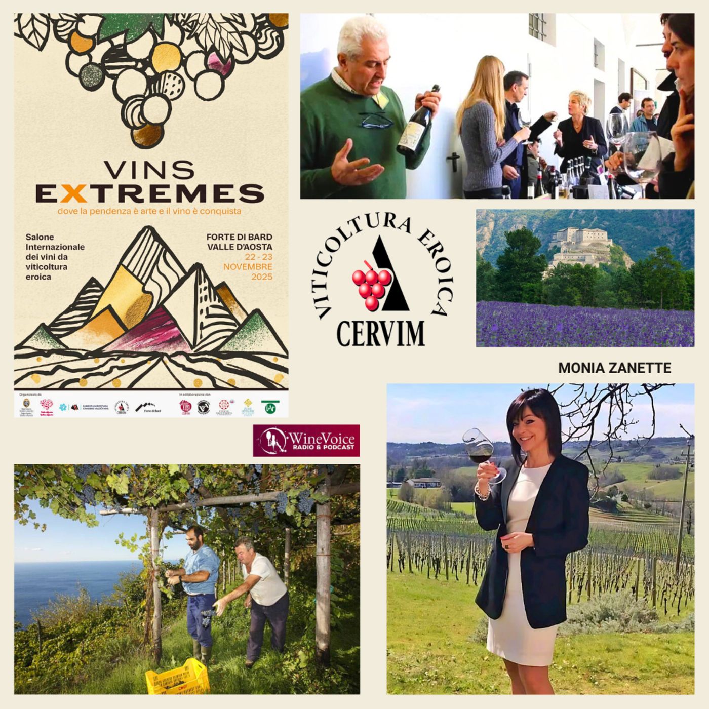 Le Terre del Vino: VINS EXTREMES - Monia Zanette, il talento e la sensibilità contemporanea! episode artwork