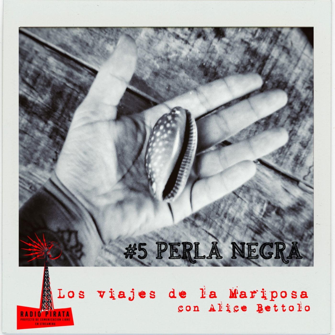 La Radio Pirata - Alice Bettolo