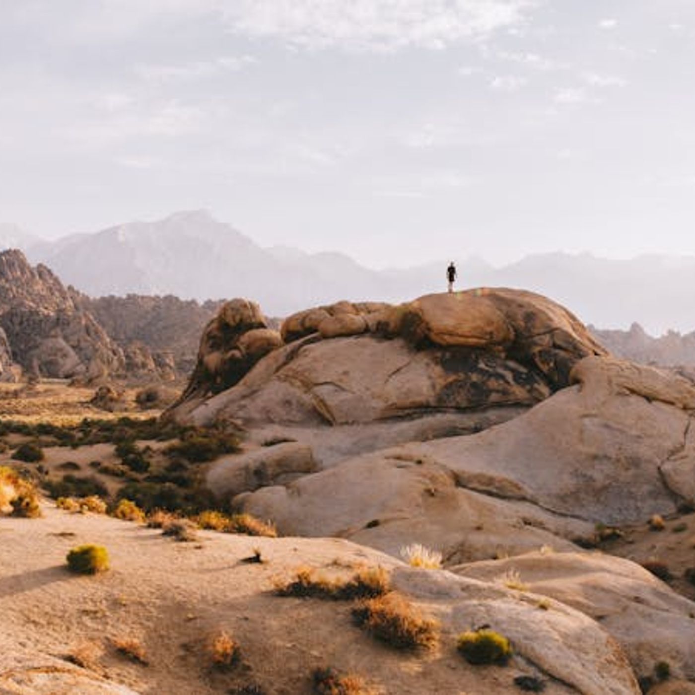 Am I Completely Surrendered to Christ?