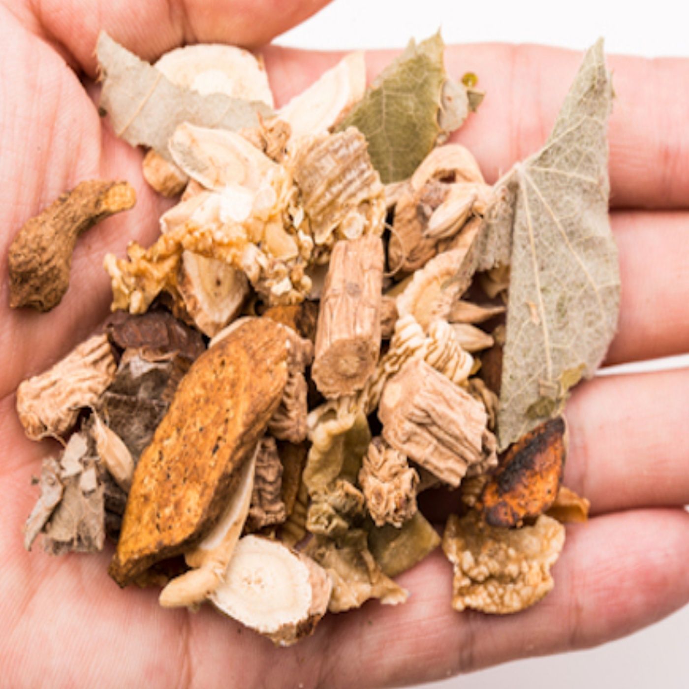 Chinese Herbs For Pets - Dr Barbara Fougere