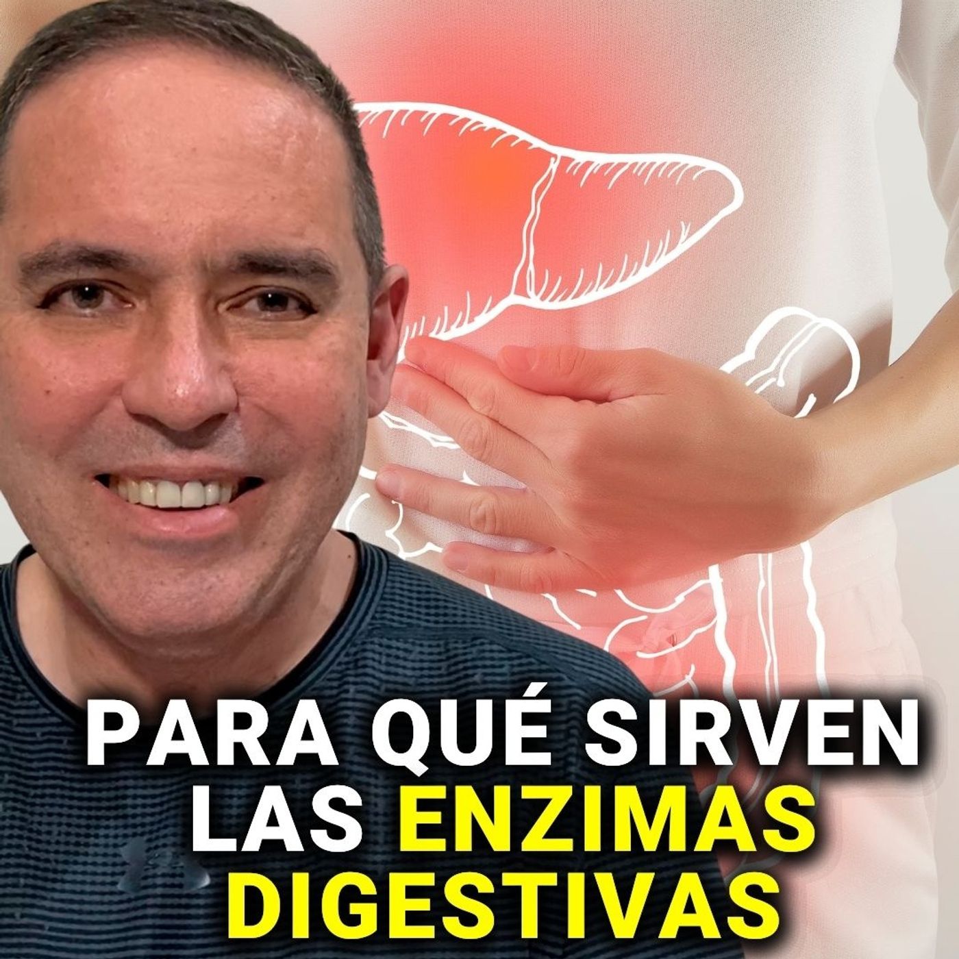 LAS ENZIMAS EN LA DIGESTIÓN...✍🏼