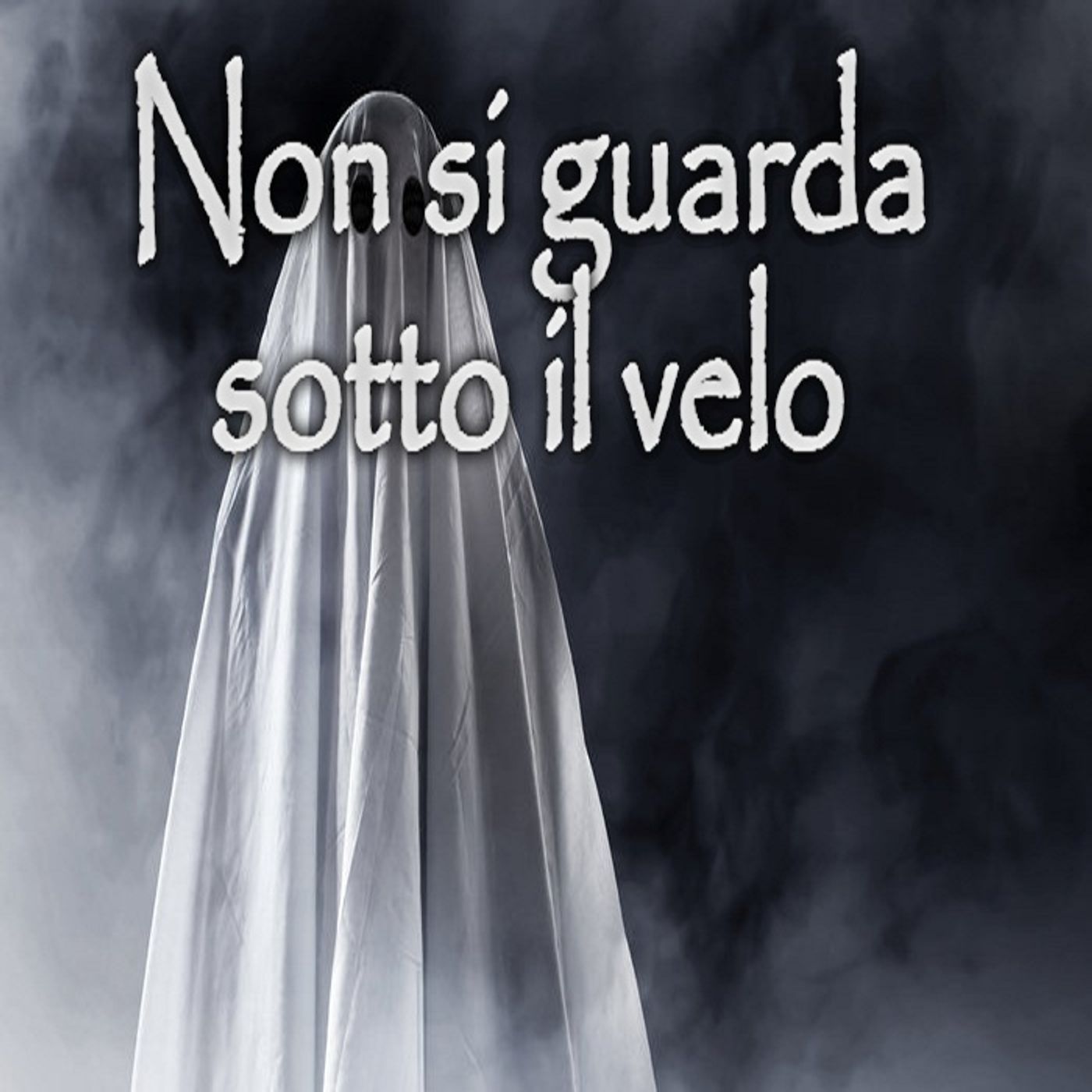 Non si guarda sotto il velo episode artwork
