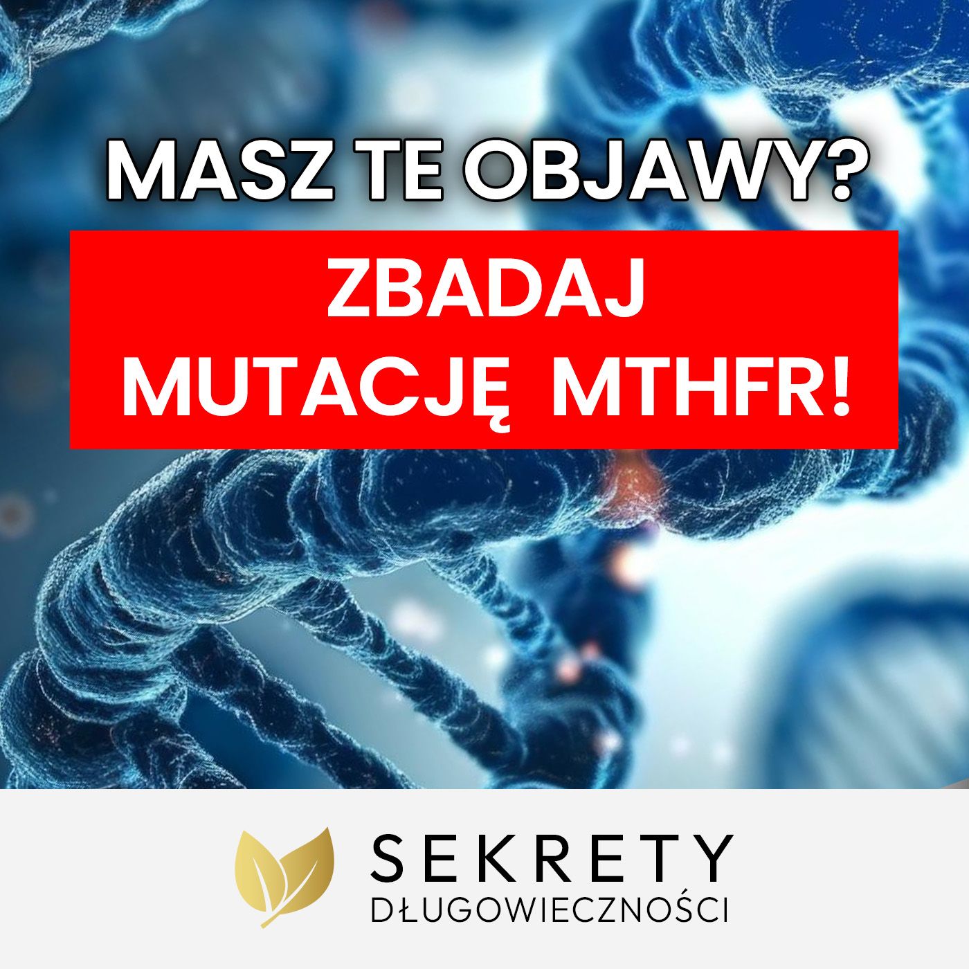 Mutacja MTHFR: groźne zaburzenie genów czy nadmuchany mit? Dr Tadeusz Oleszczuk