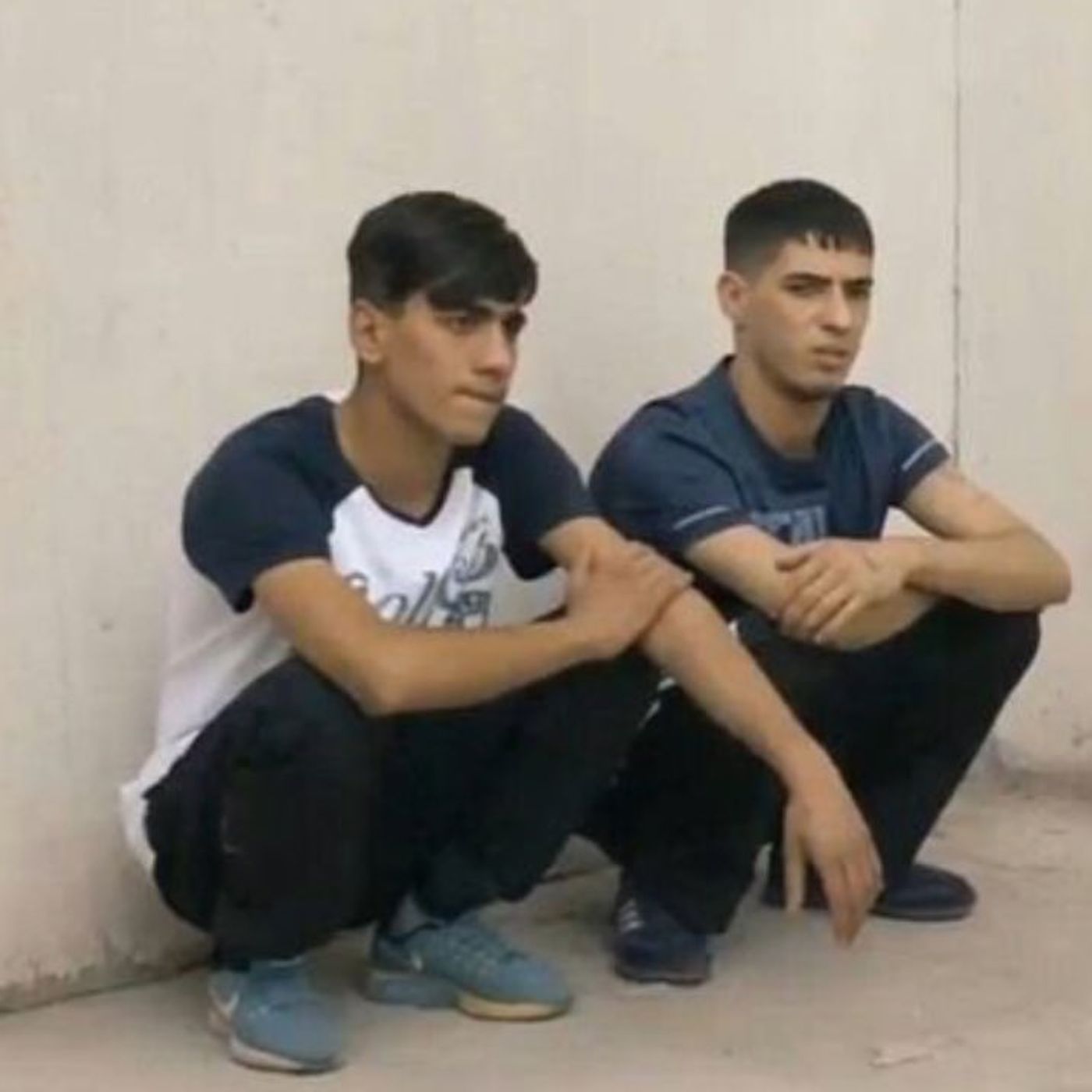 Allam bu çınar mı