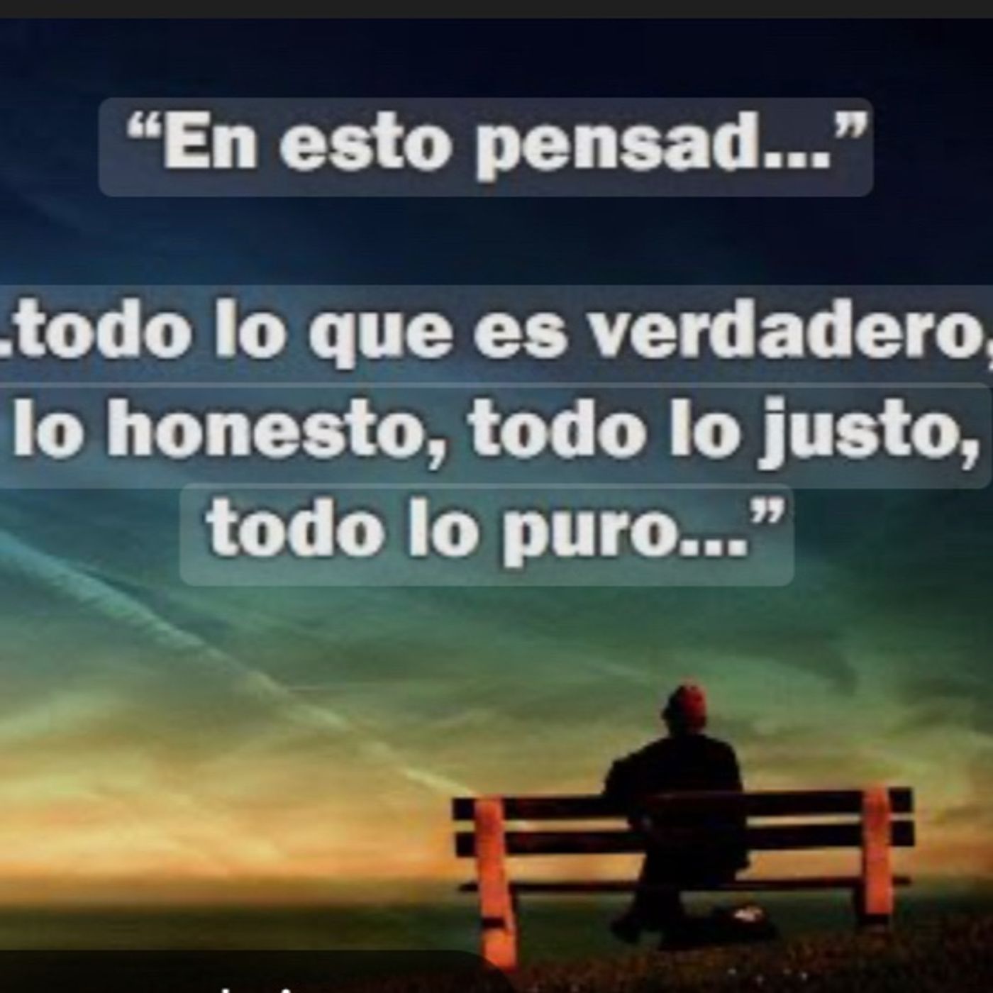 Su delicia