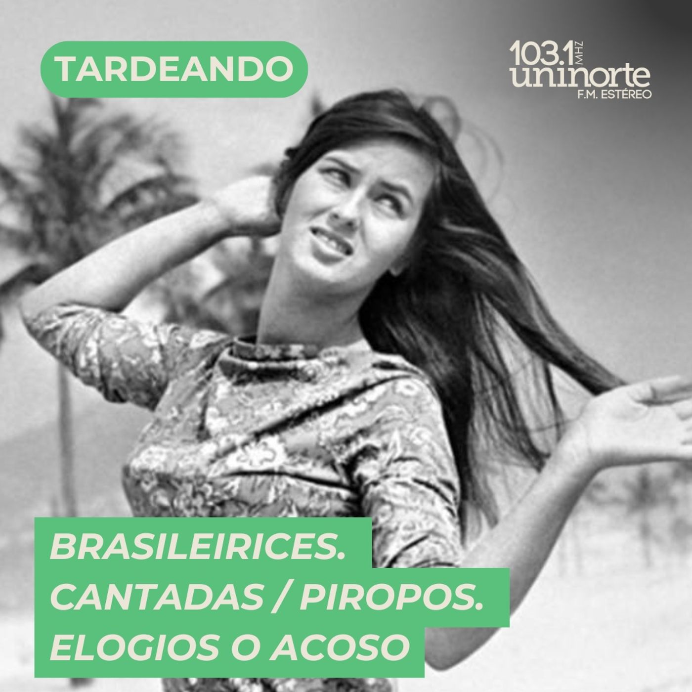 Brasileirices :: Cantadas / Piropos: elogios o acoso? episode artwork