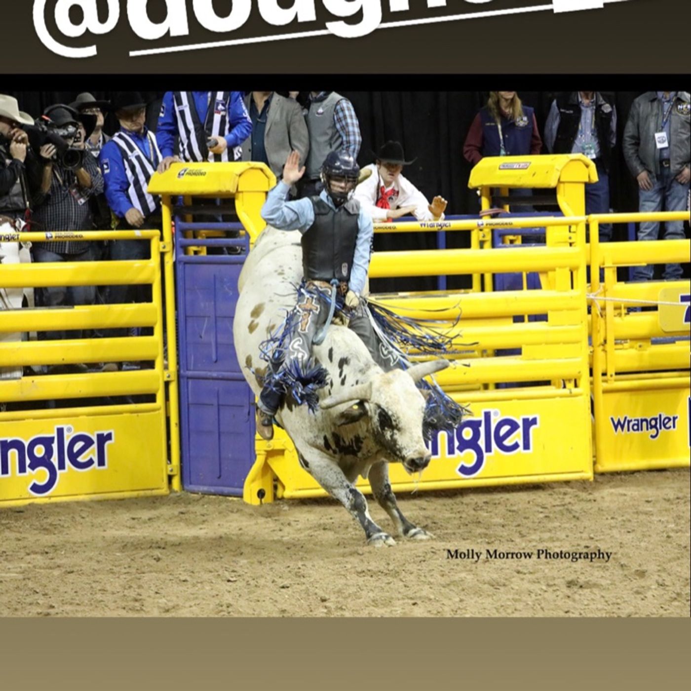 Chase Dougherty - Wrangler NFR - Round 4