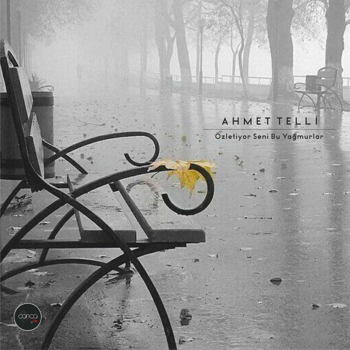 Şiir | Ahmet Telli - Özletiyor Seni Bu Yağmurlar episode artwork