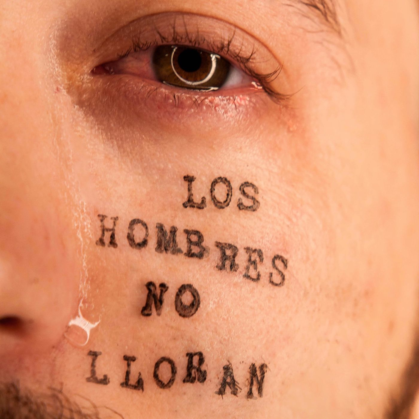 Reflexiones Sobre el Asfalto