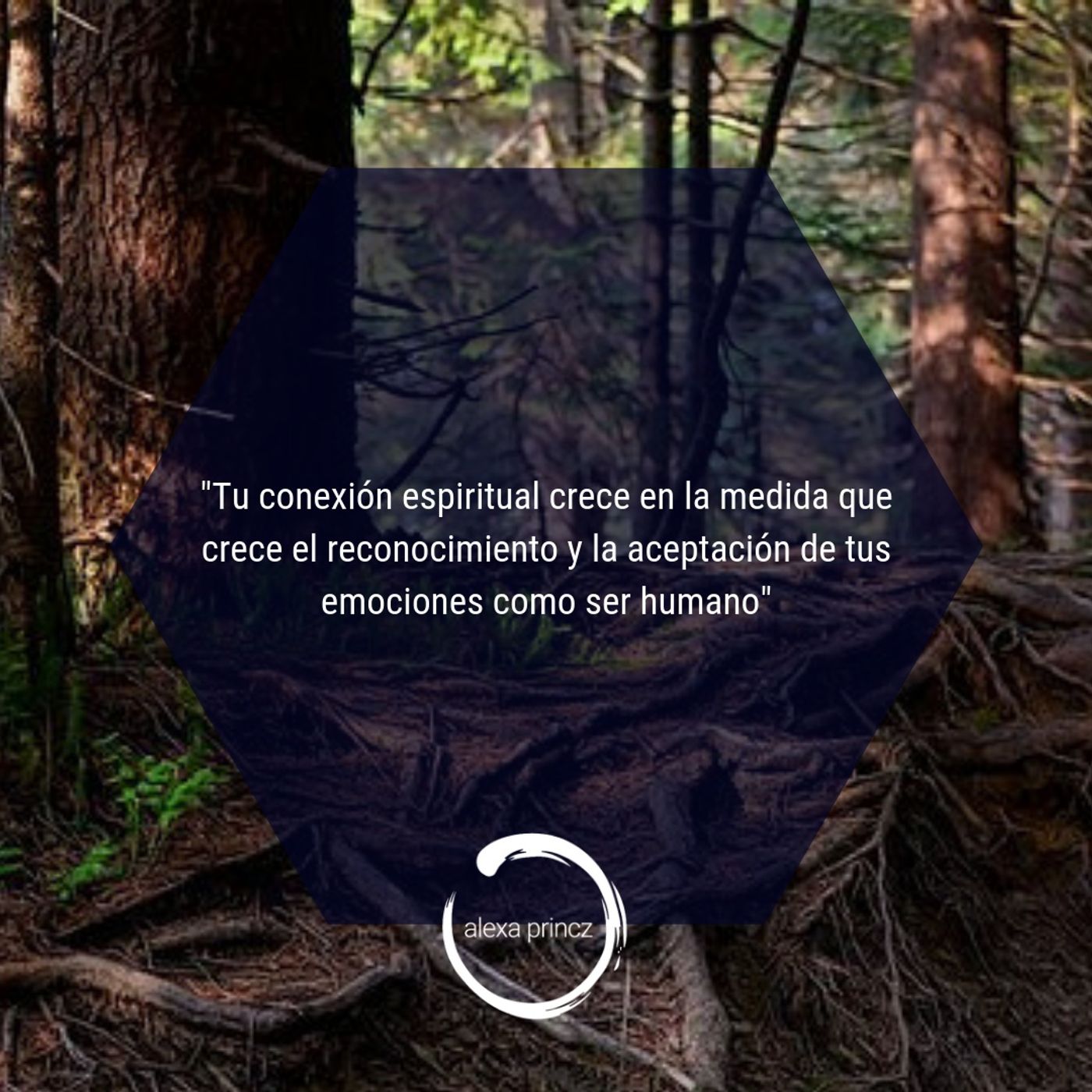 Cómo conectar con tu espiritualiad episode artwork