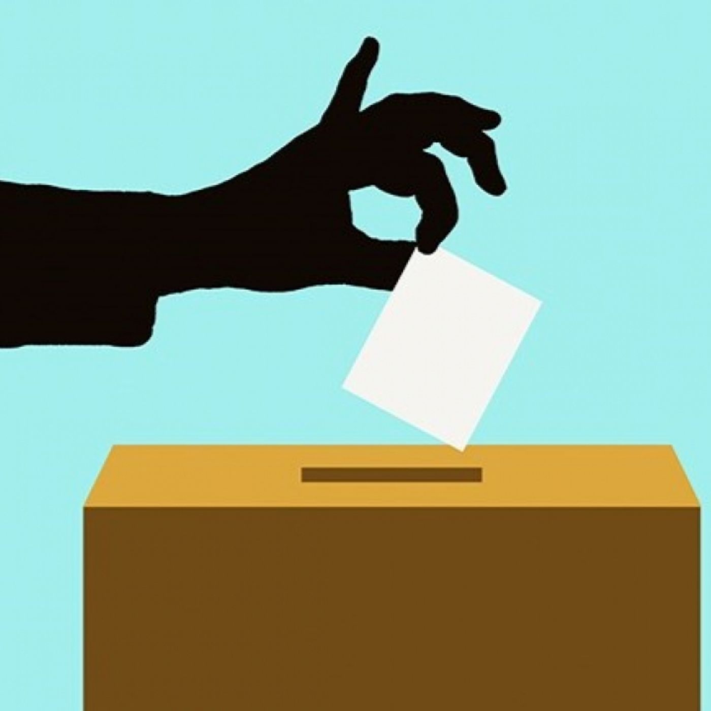 Campagna elettorale Parlamento 2025-2026