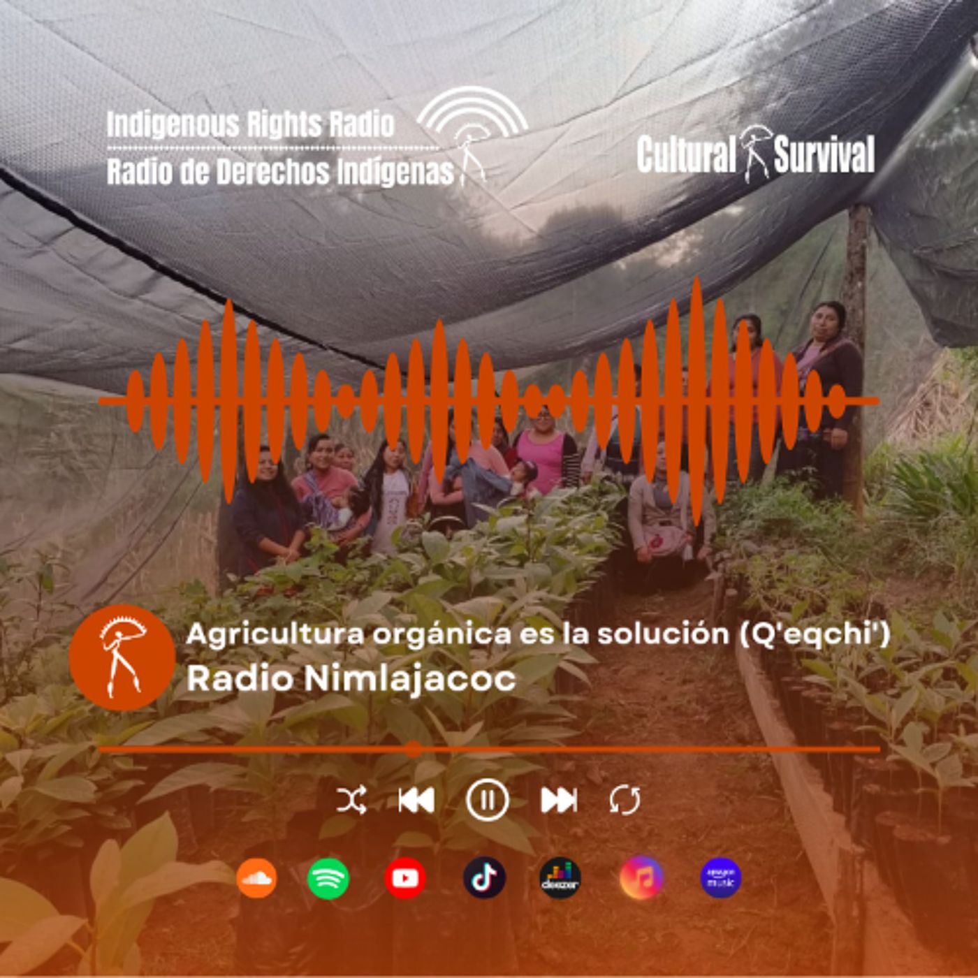 Agricultura orgánica es la solución (Q'eqchi') - Radio Nimlajacoc