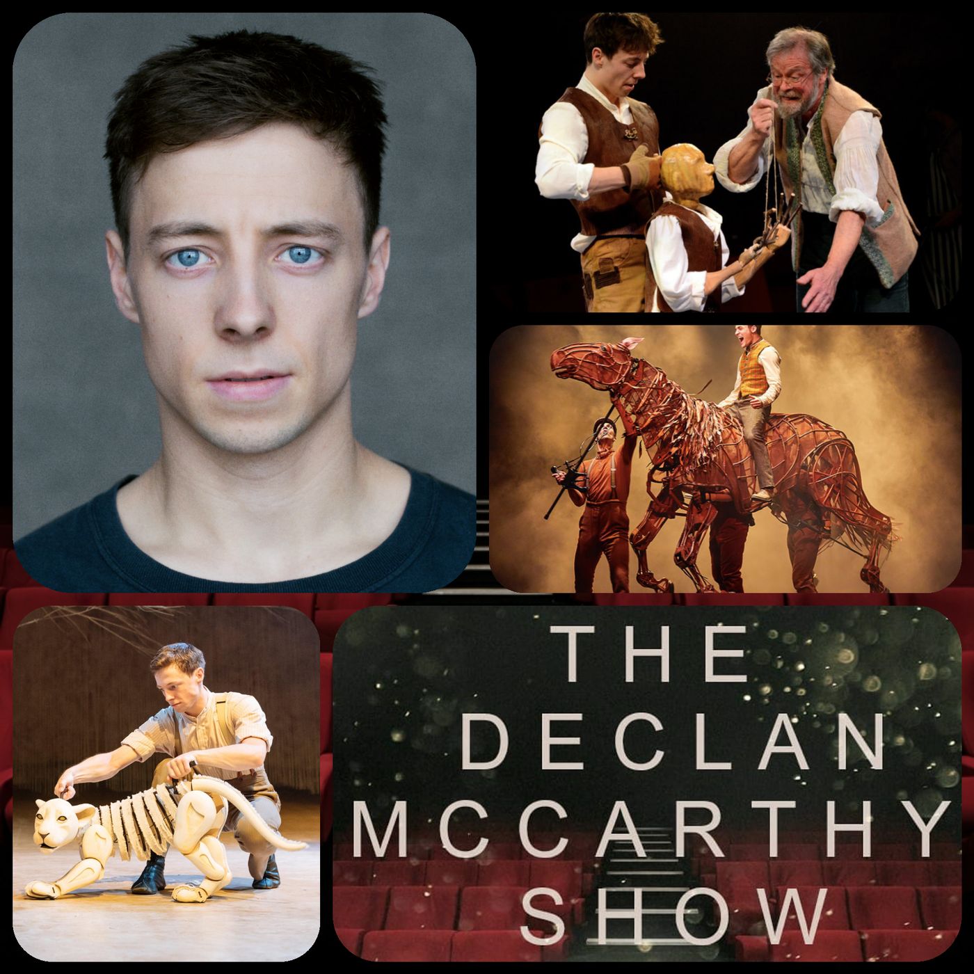 The Declan McCarthy Show