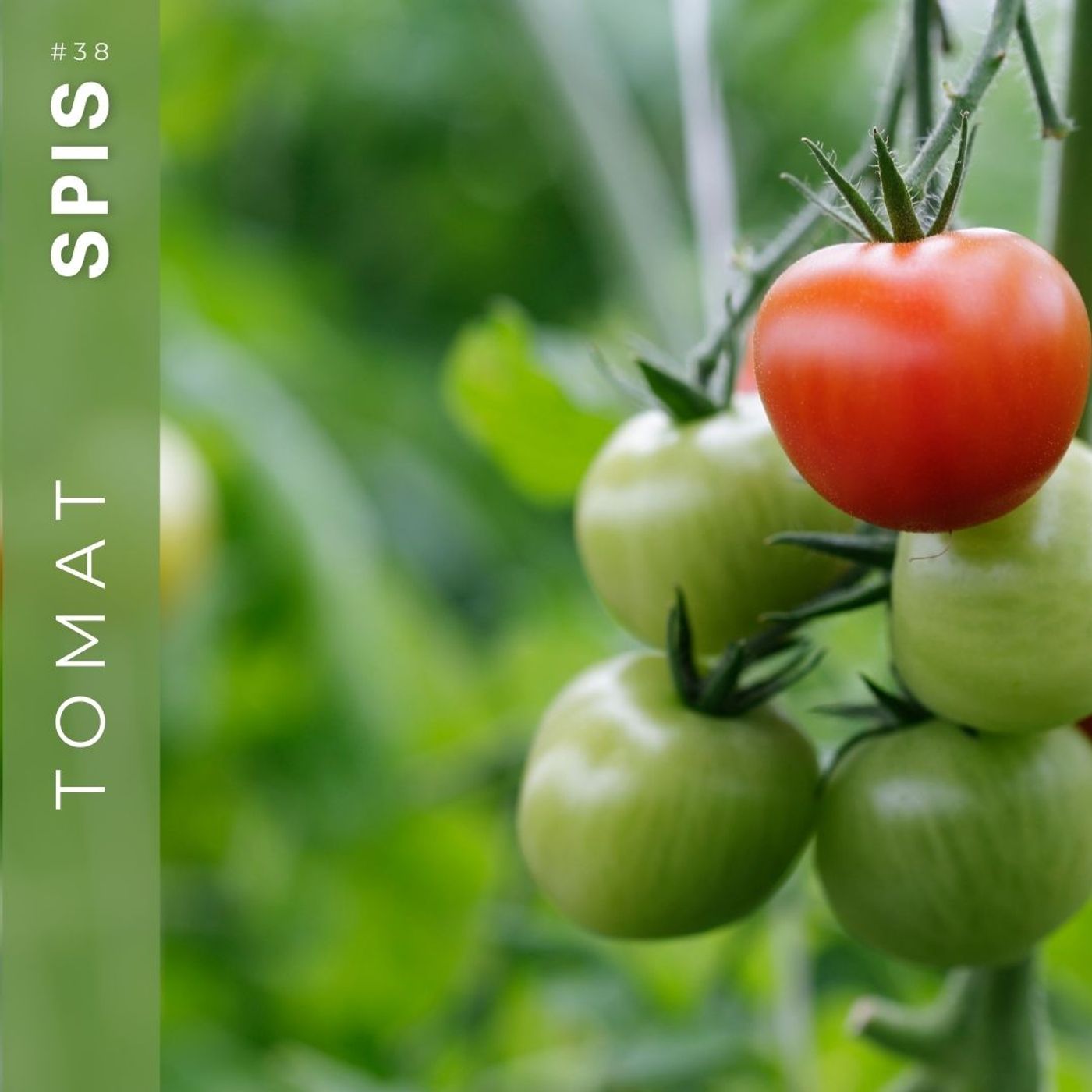 39. SPIS tomater 💚🍴