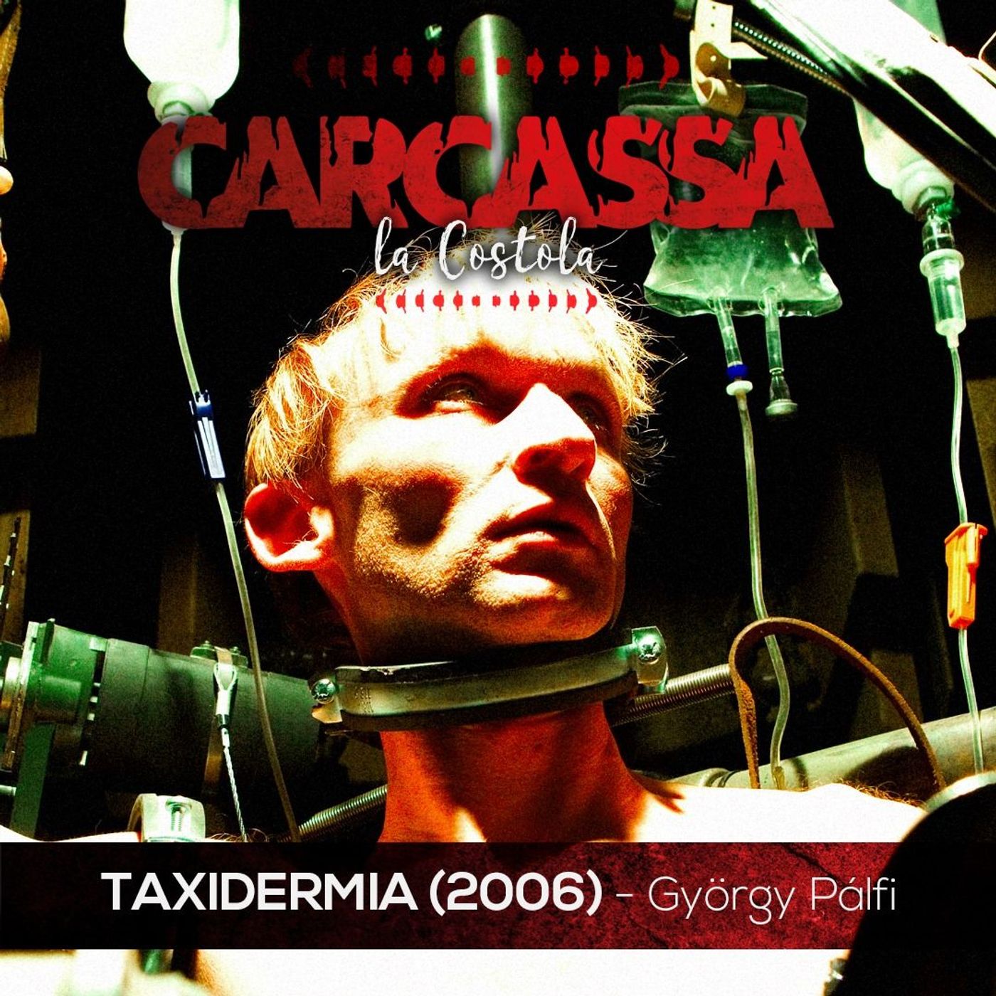 Carcassa