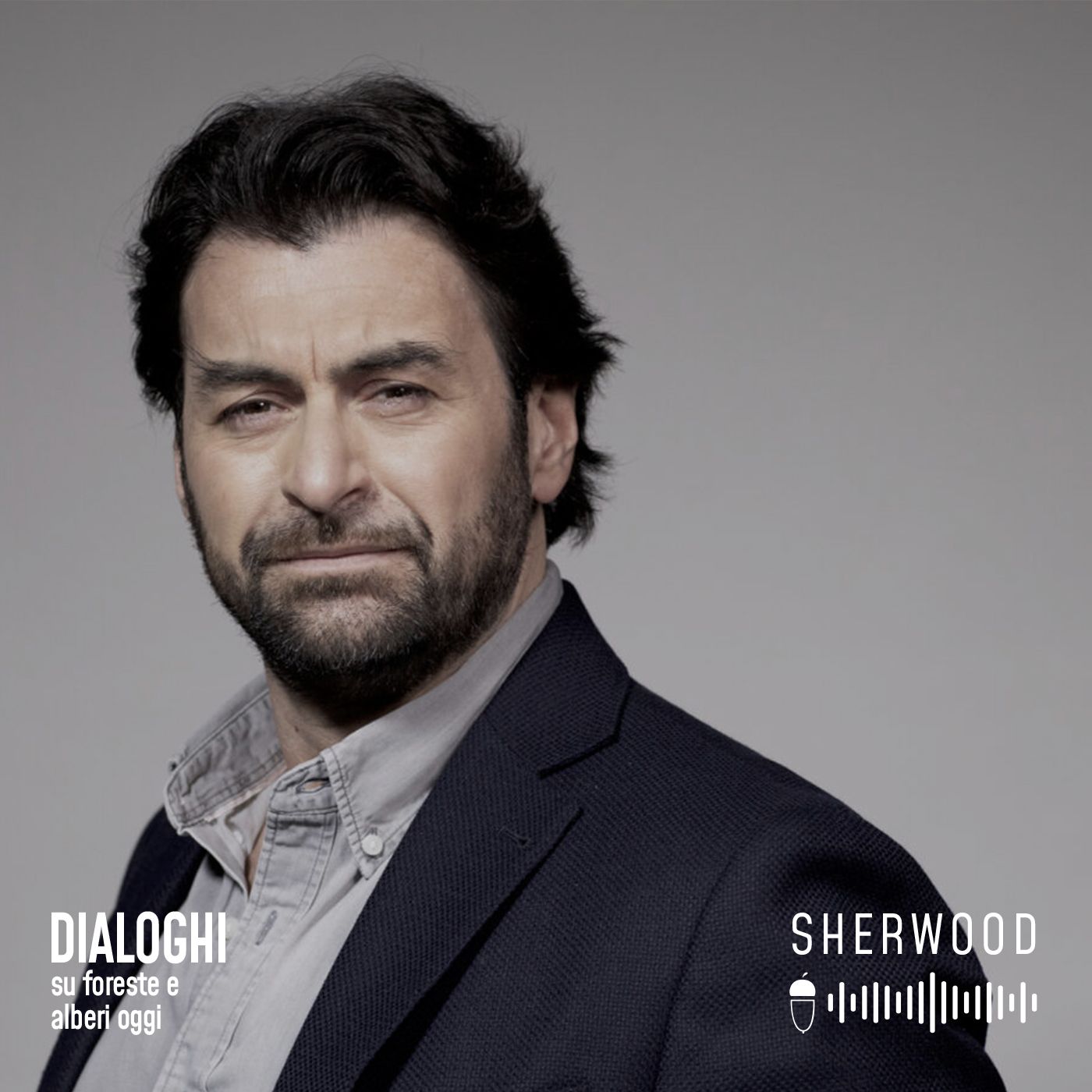 Dialoghi su foreste e alberi oggi
