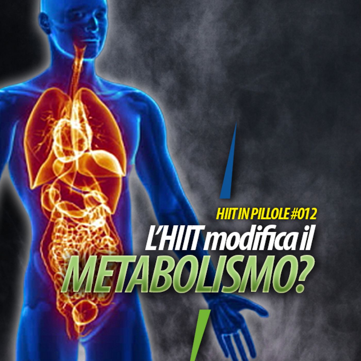 L’ALLENAMENTO HIIT MIGLIORA IL METABOLISMO? episode artwork