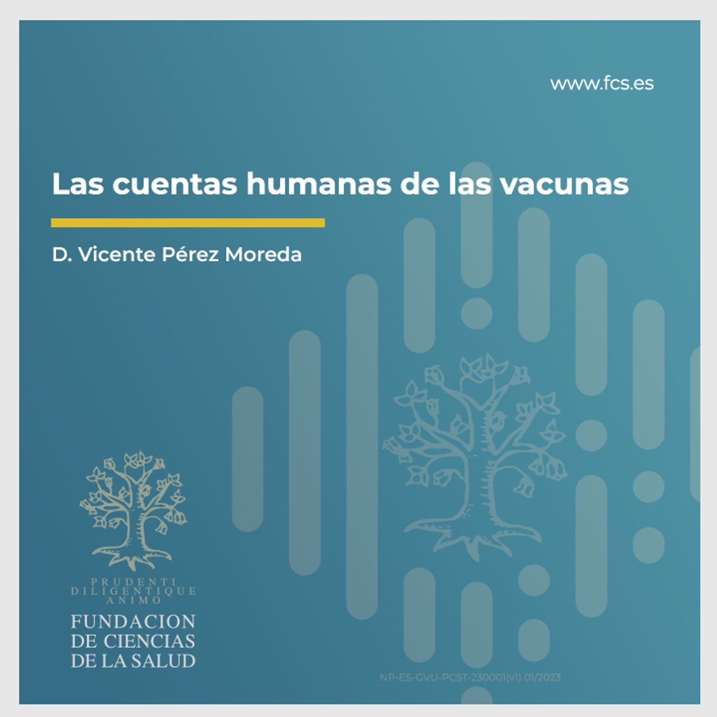 Sesión XIV: "Las cuentas humanas de las vacunas" con  D. Vicente Pérez Moreda