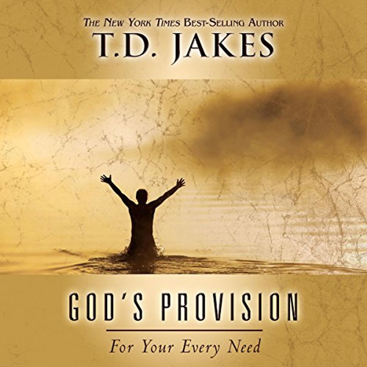 God's Provision for Your Every Need Audiobook by T. D. Jakes