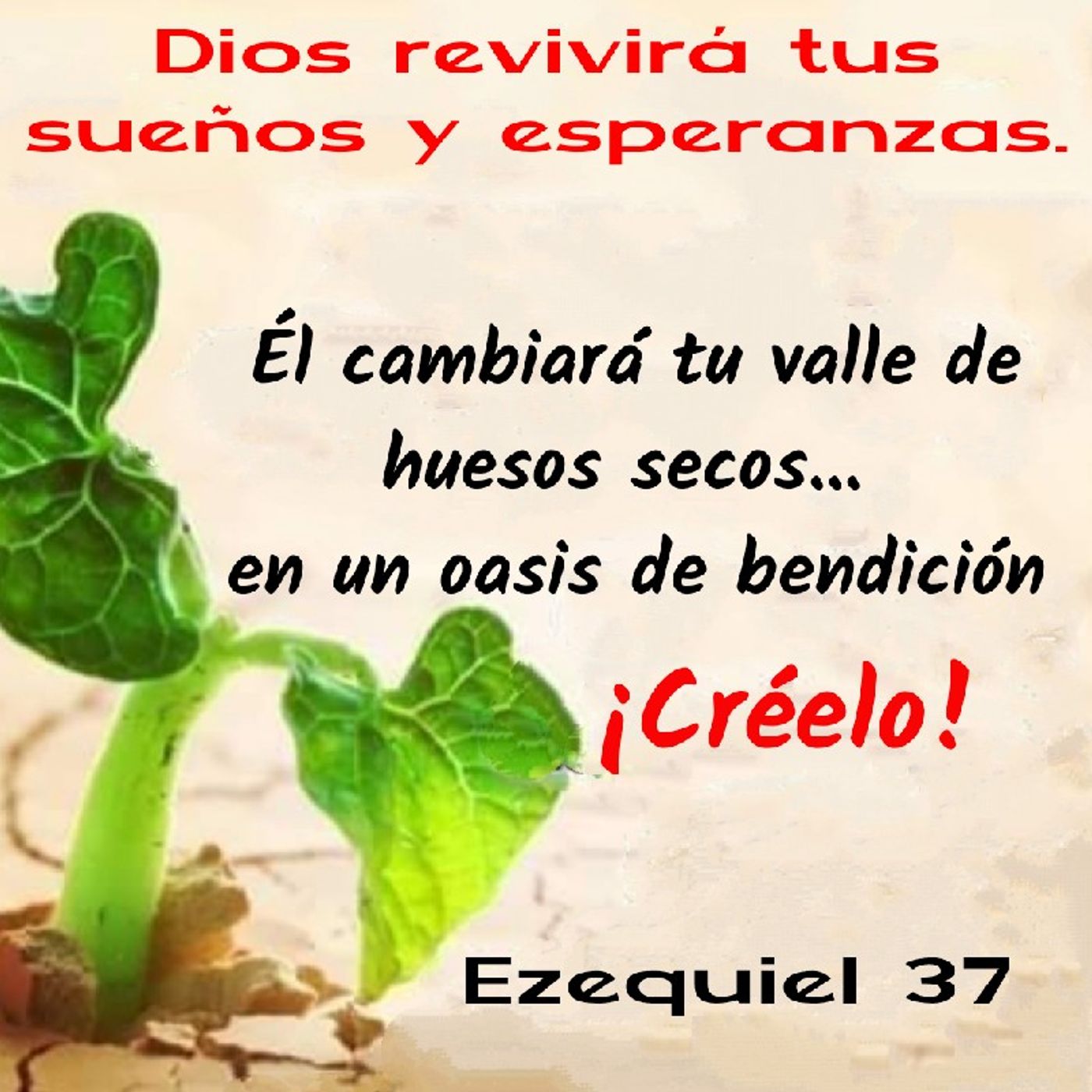 Reflexión Oasis Espiritual.  E. Lizcano