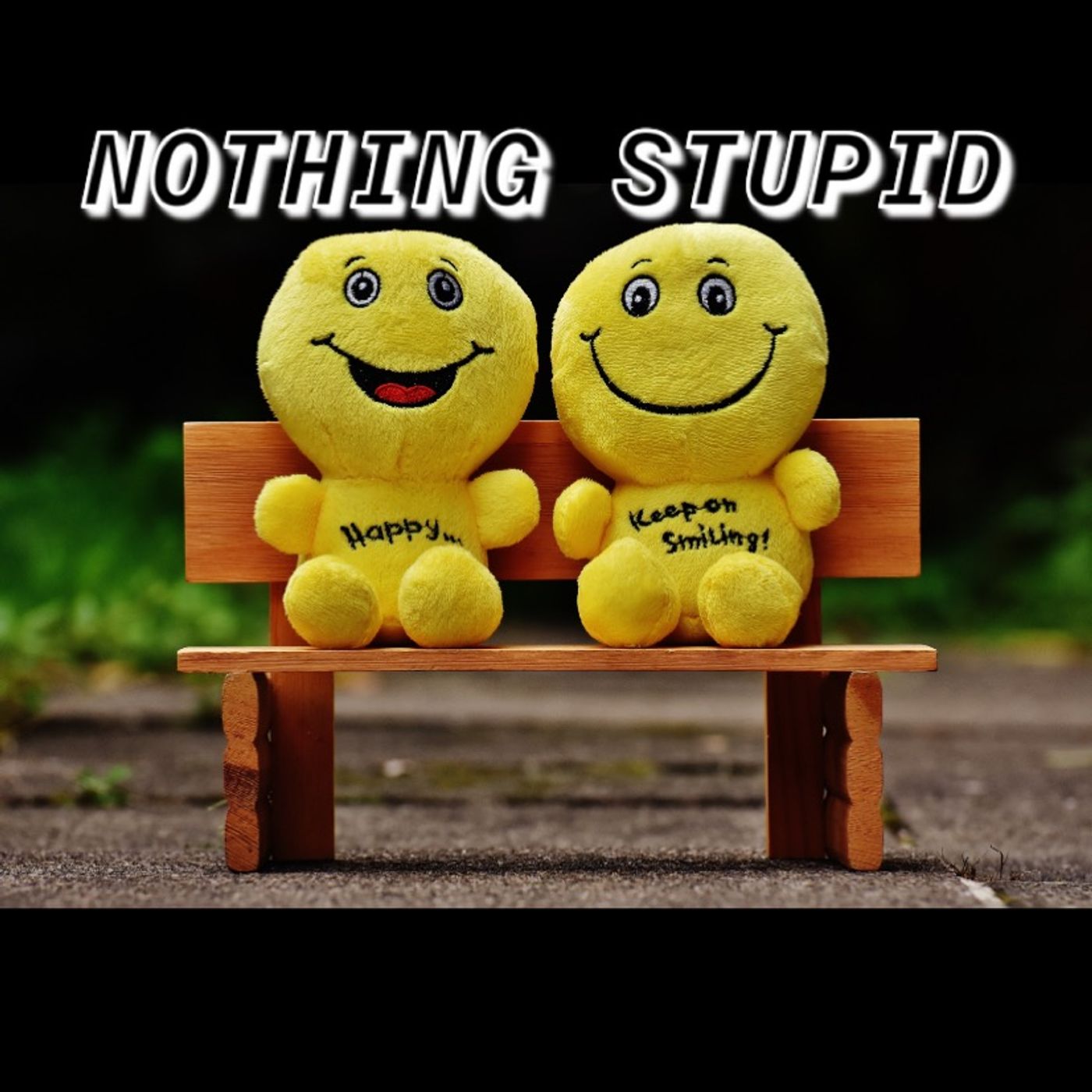 Nothing Stupid
