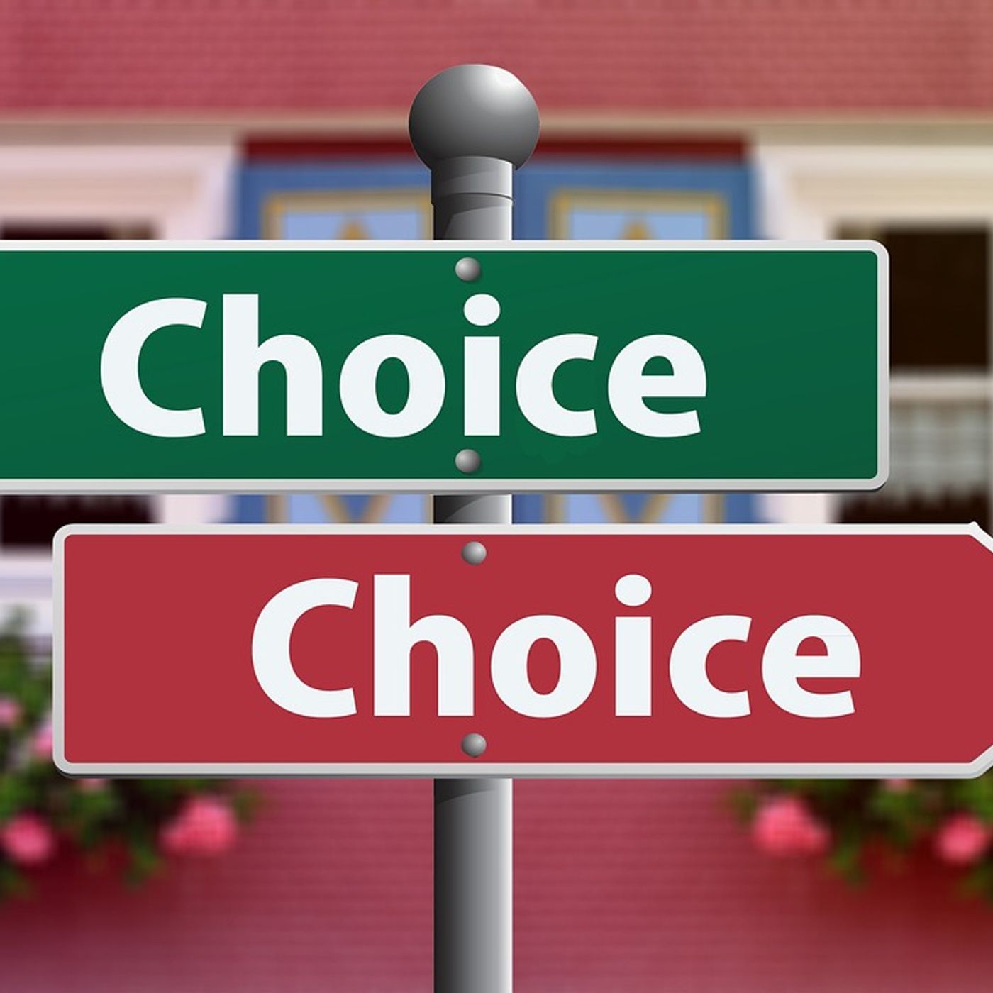 Opportunity Cost vs Choice podcast artwork