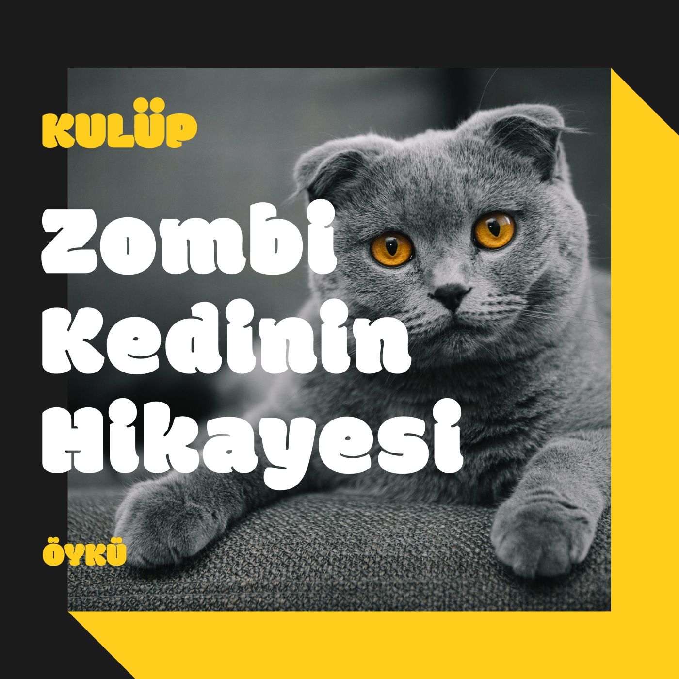 Kulüp