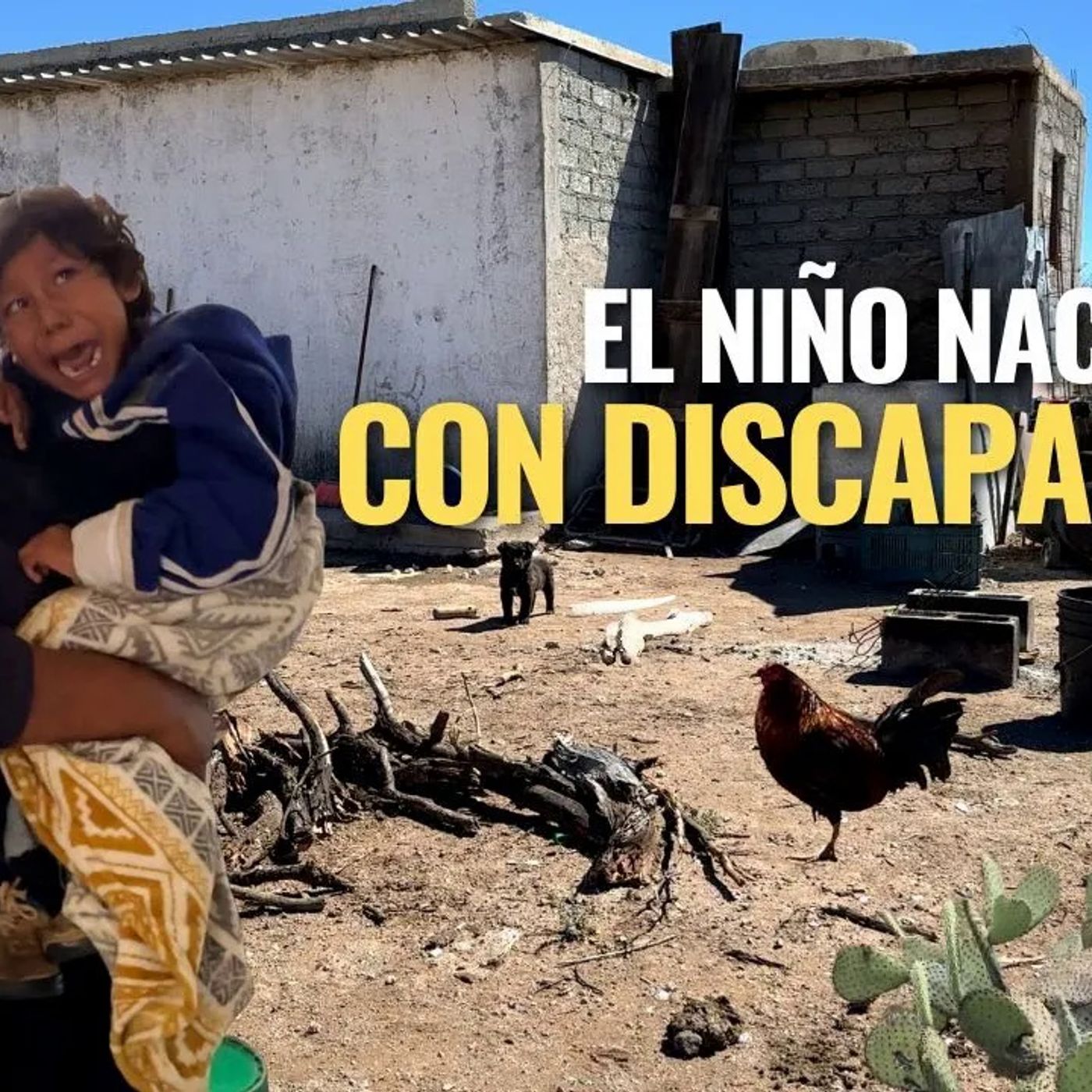 _NO TENEMOS CASA Y AVECES NO TENEMOS NI QUE COMER_