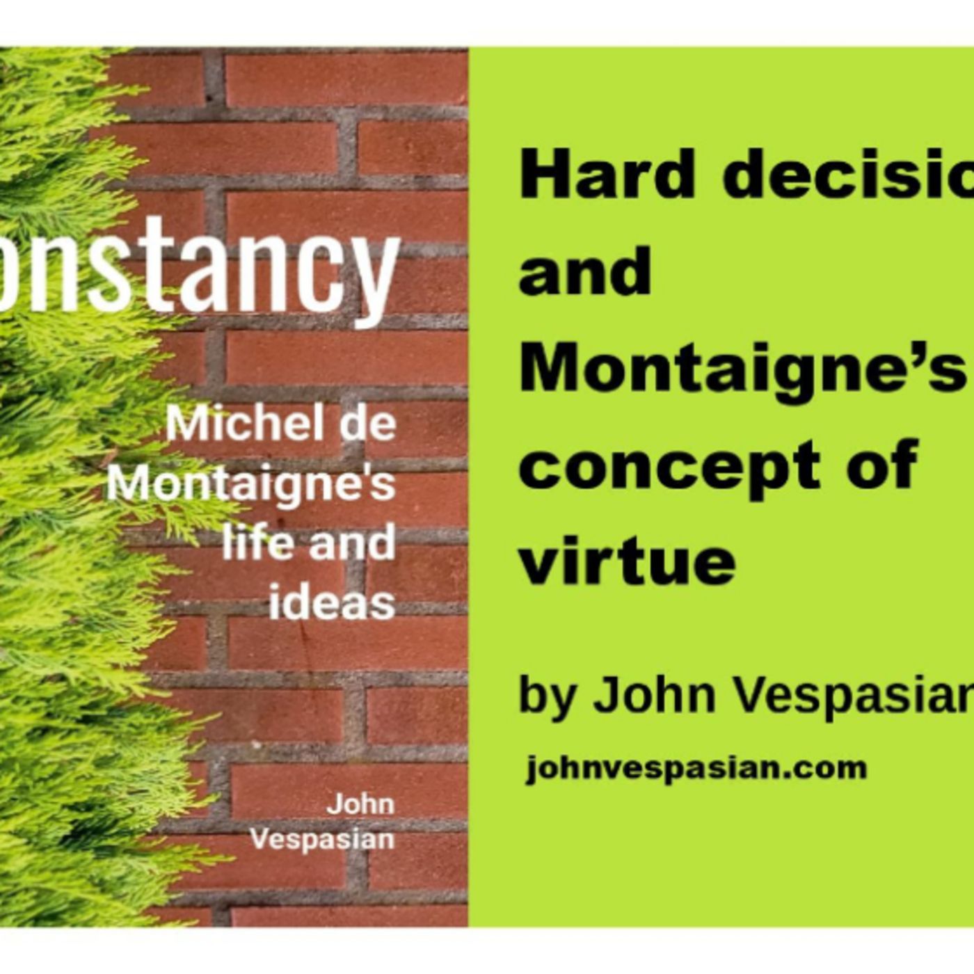 Hard decisions and Montaigne’s concept of virtue episode artwork