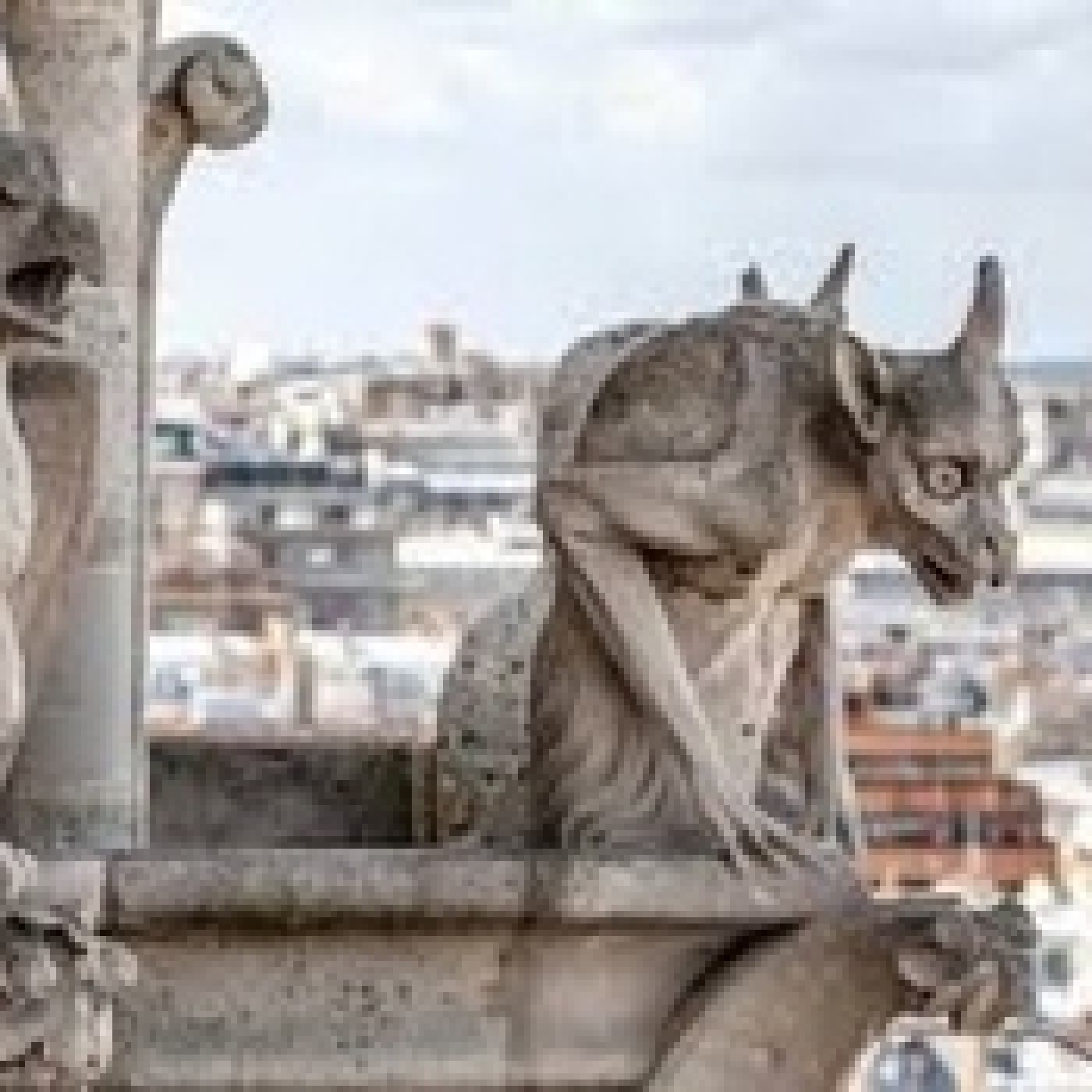 Luces en la Oscuridad