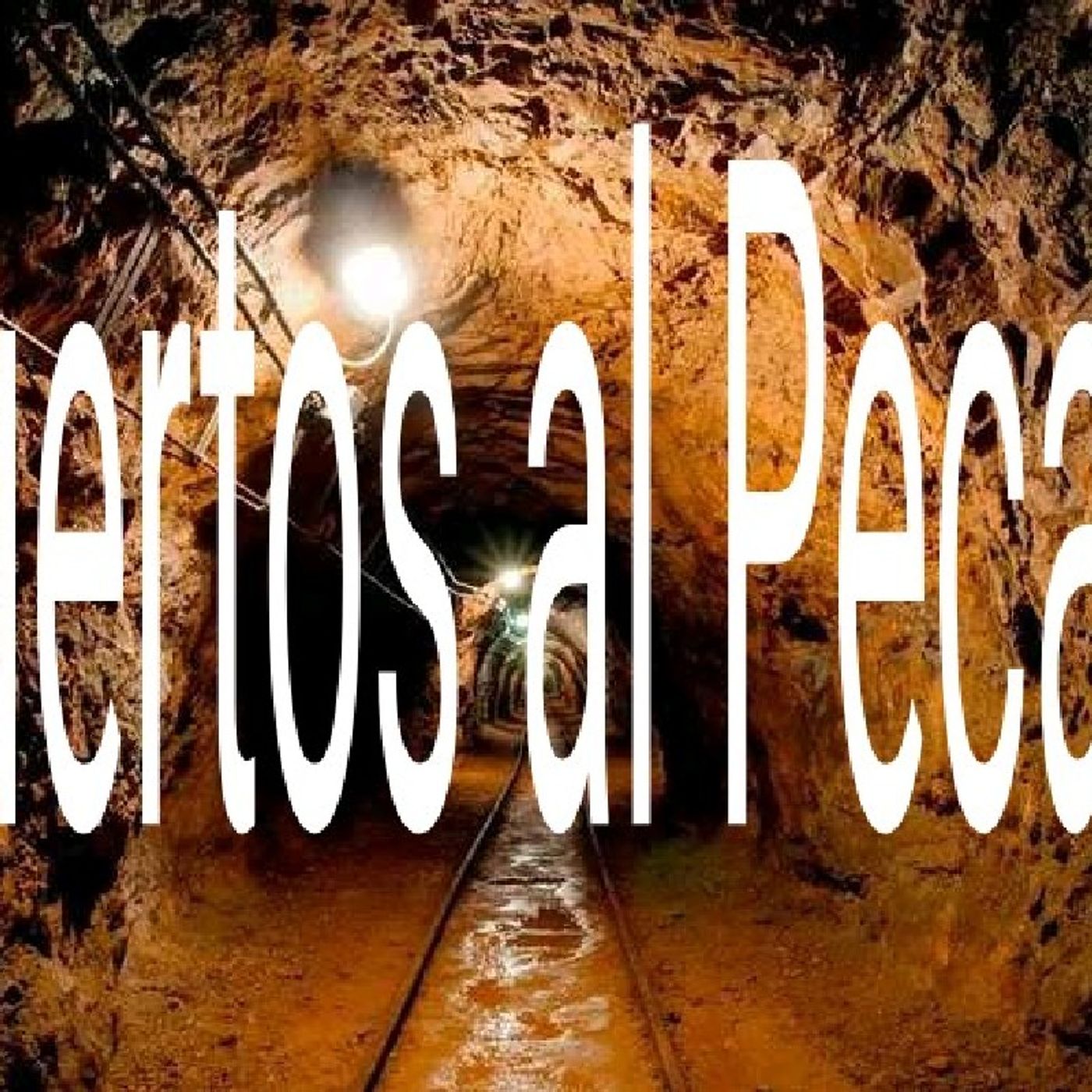 La Elección Perfecta