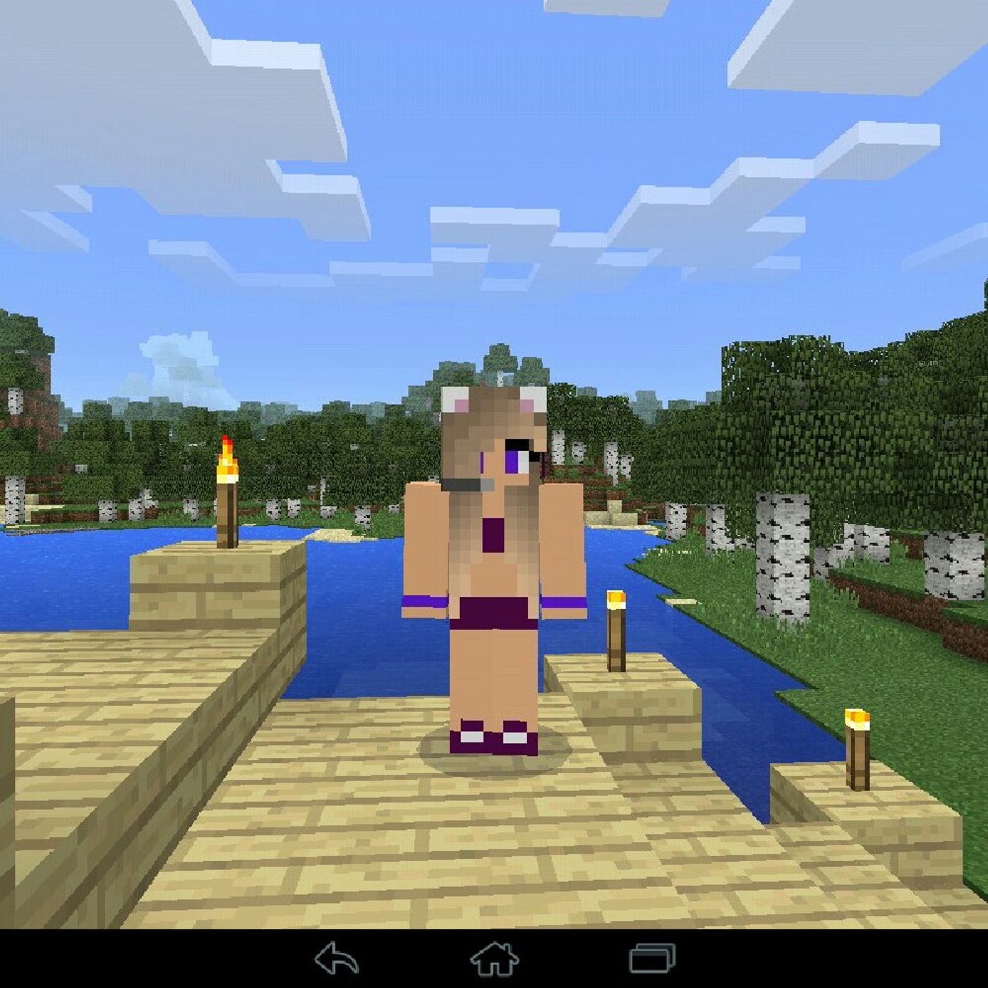 MUSICAL DE DESTROLLA