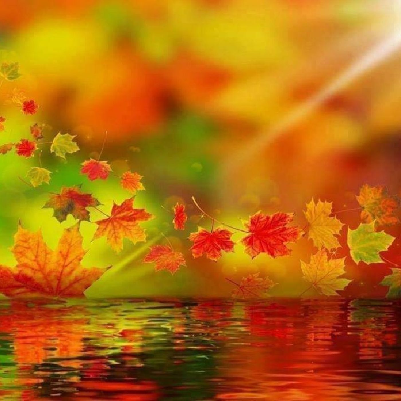 Meditazioni guidate