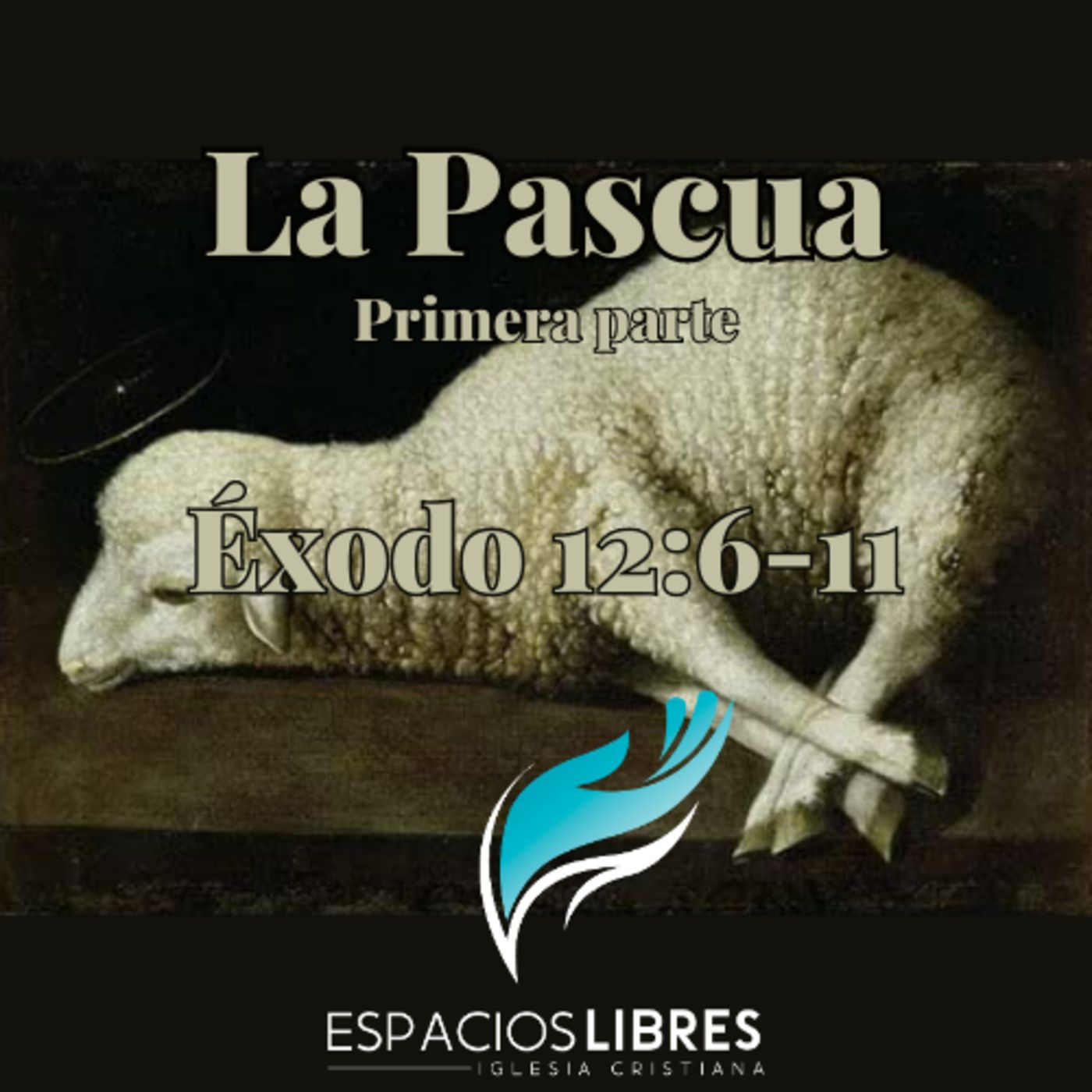 IGLESIA CRISTIANA ESPACIOS LIBRES
