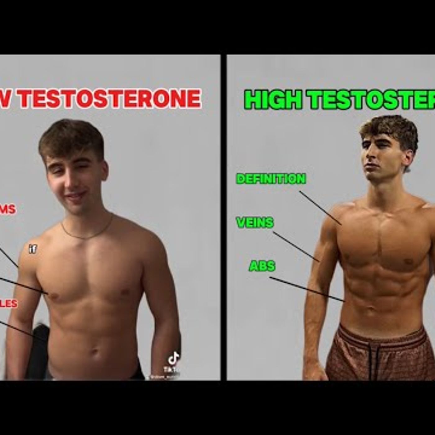 Portada de Dom Nutrition