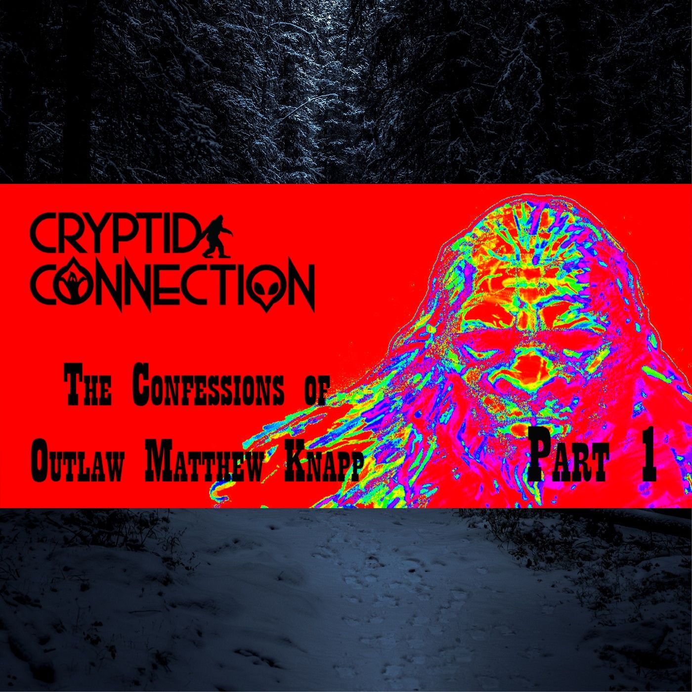 Episode 8 The confessions of Matthew Knapp part 1 episode artwork