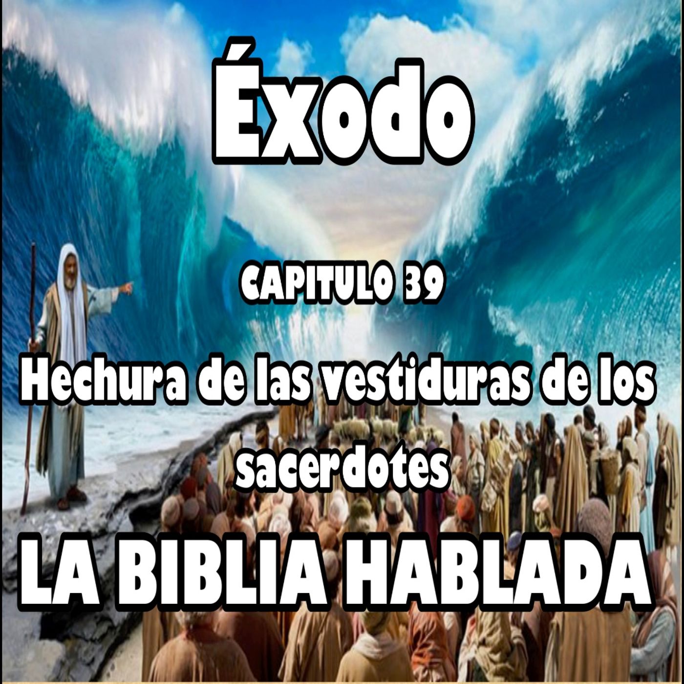 Éxodo Capitulo 39. Hechura de las vestiduras de los sacerdotes episode artwork