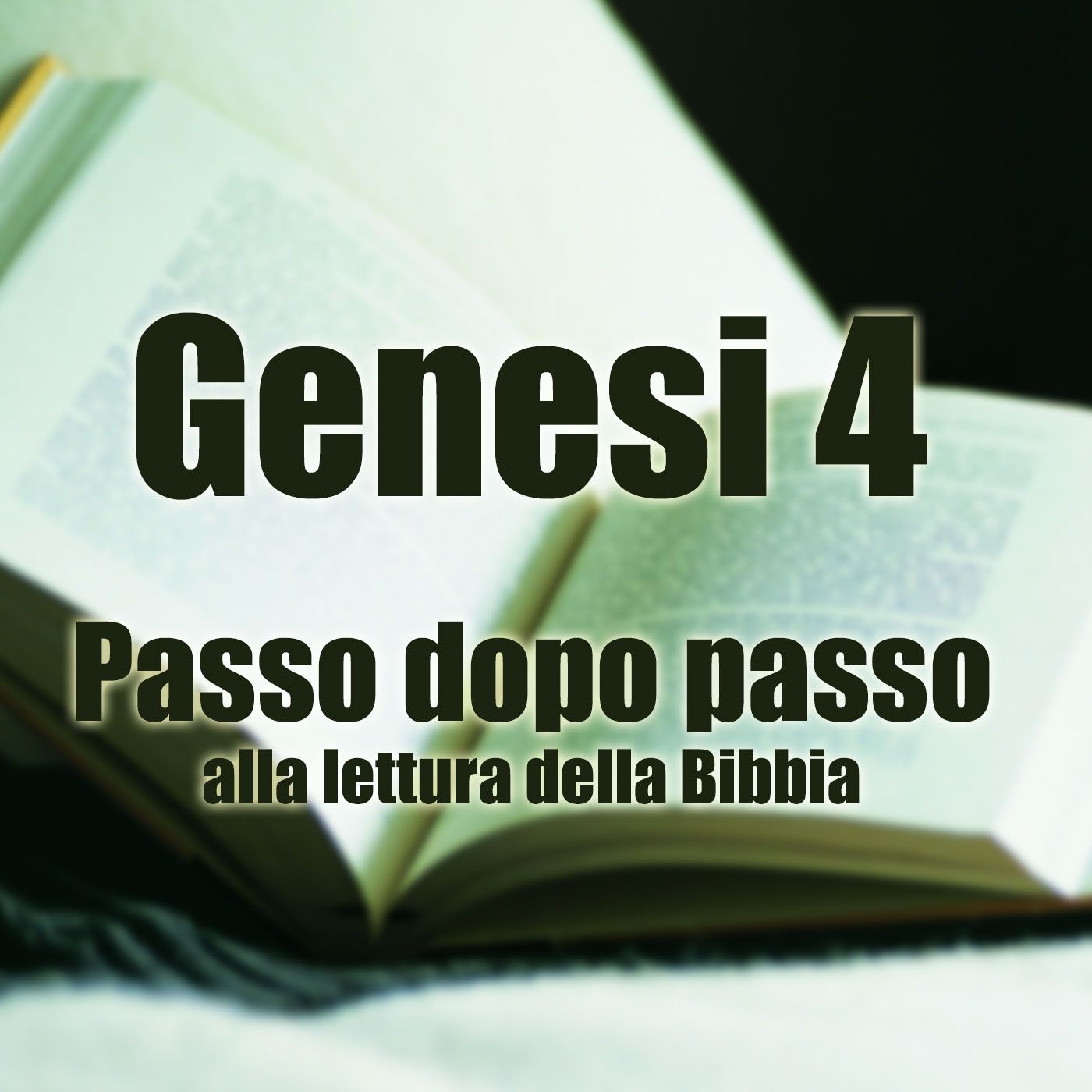Passo dopo passo alla lettura della Bibbia