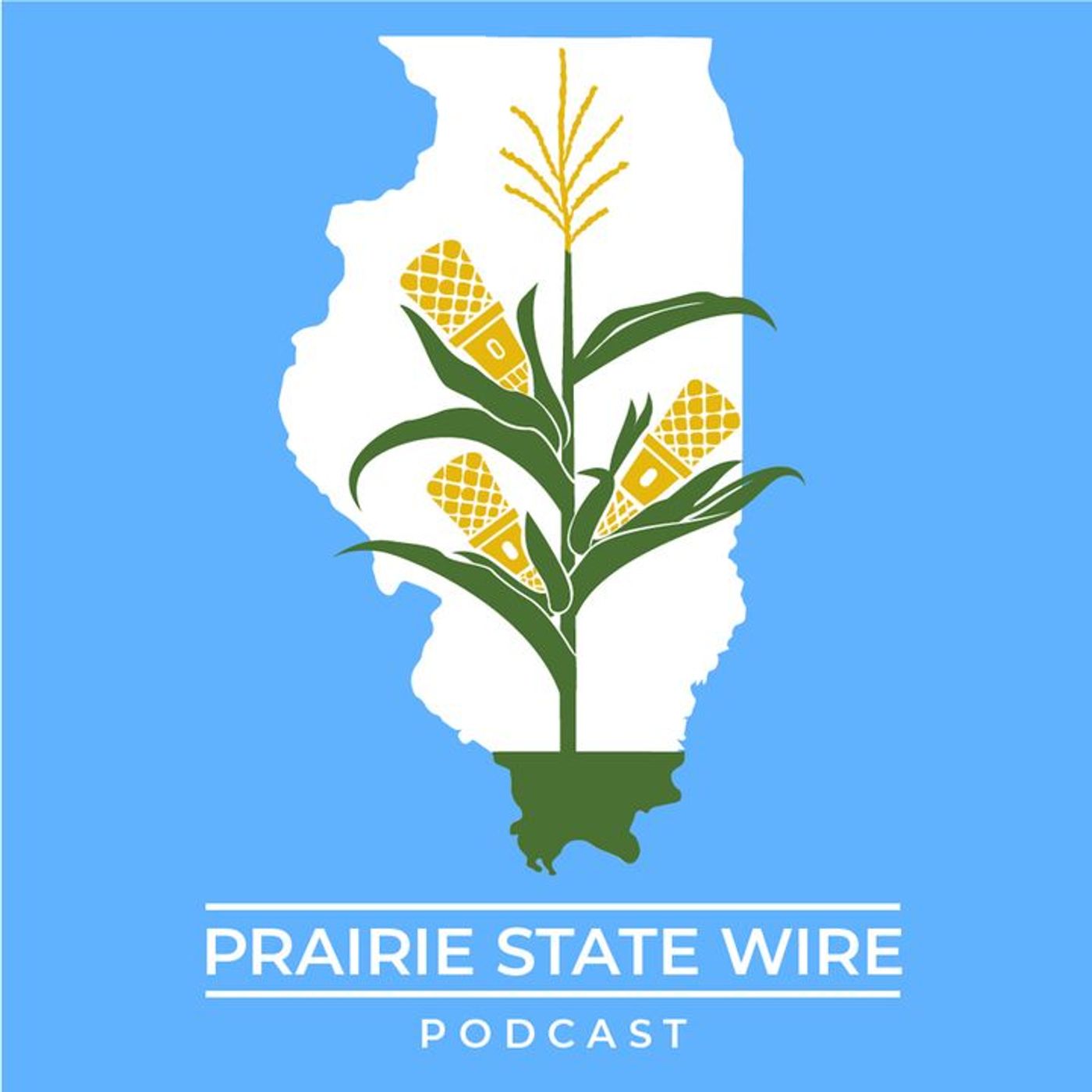 State Rep. Jed Davis: Illinois Lawmakers Talk 'Affordability' But Deliver Higher Costs episode artwork