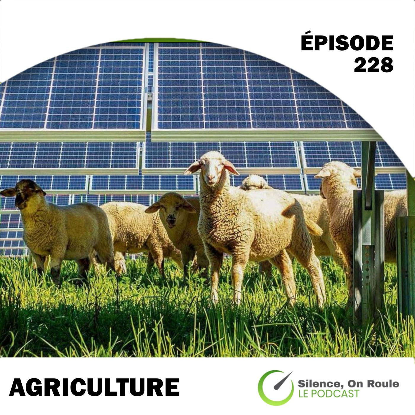 Épisode # 228 : Électrification, énergie et agriculture episode artwork
