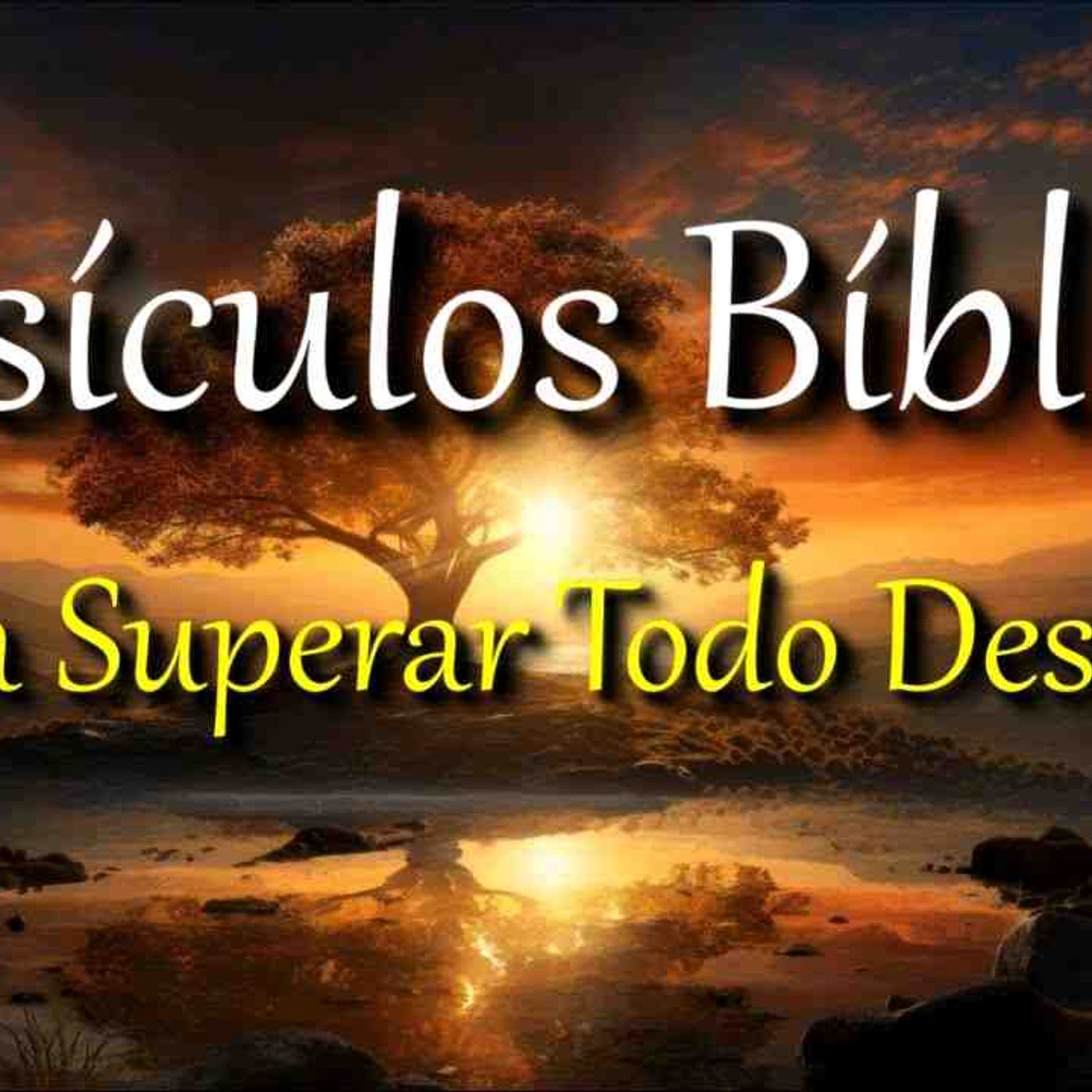 Versículos Bíblicos para enfrentar desafíos con FE _ Biblia hablada _ Bible Audio(MP3_160K) episode artwork